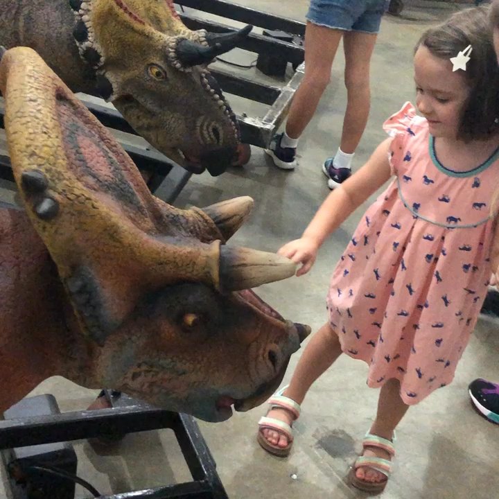 The Dinosaur Company - They move - Museums Near Me - Allen, Texas