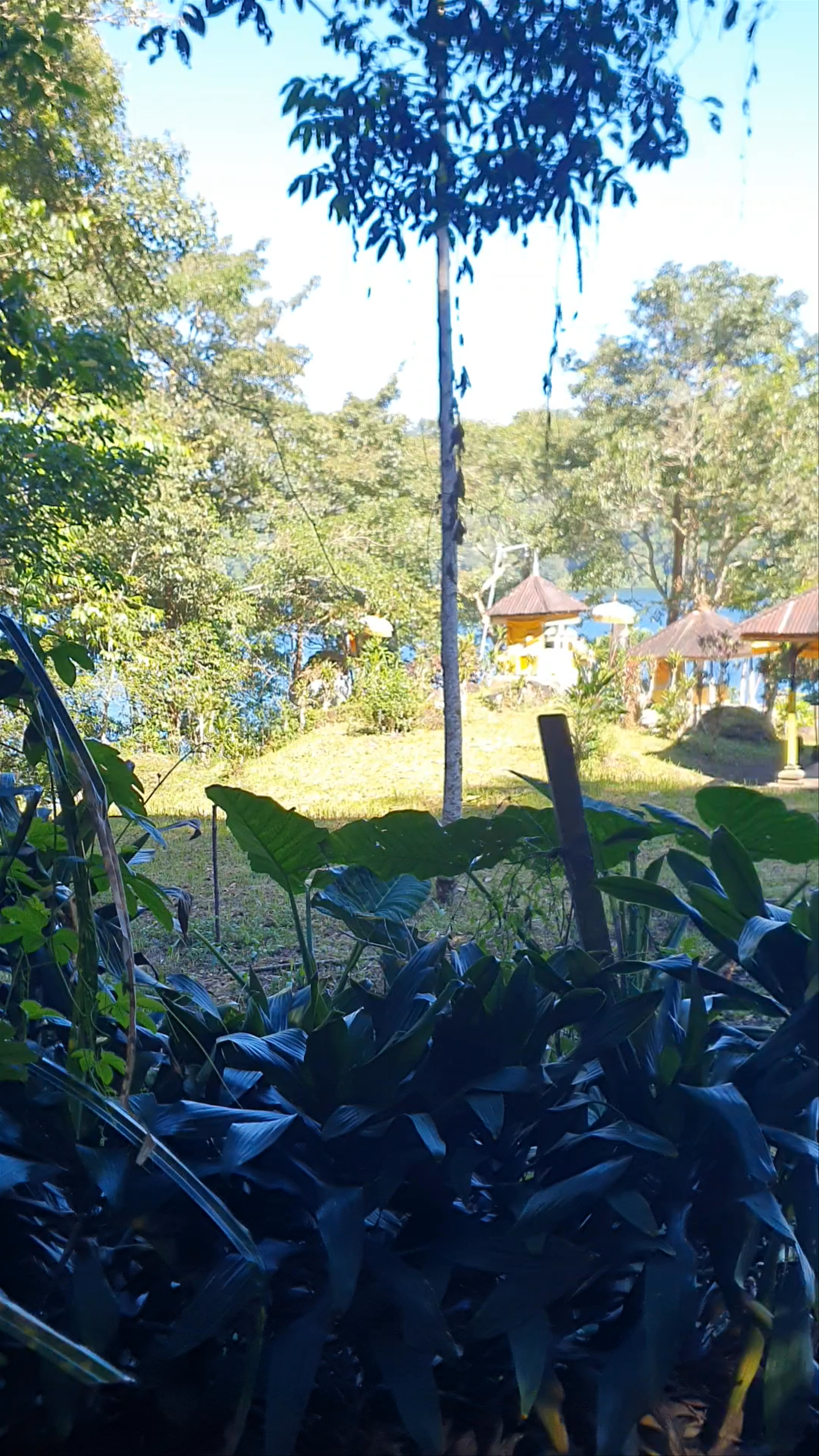 Pura Dalem Tamblingan