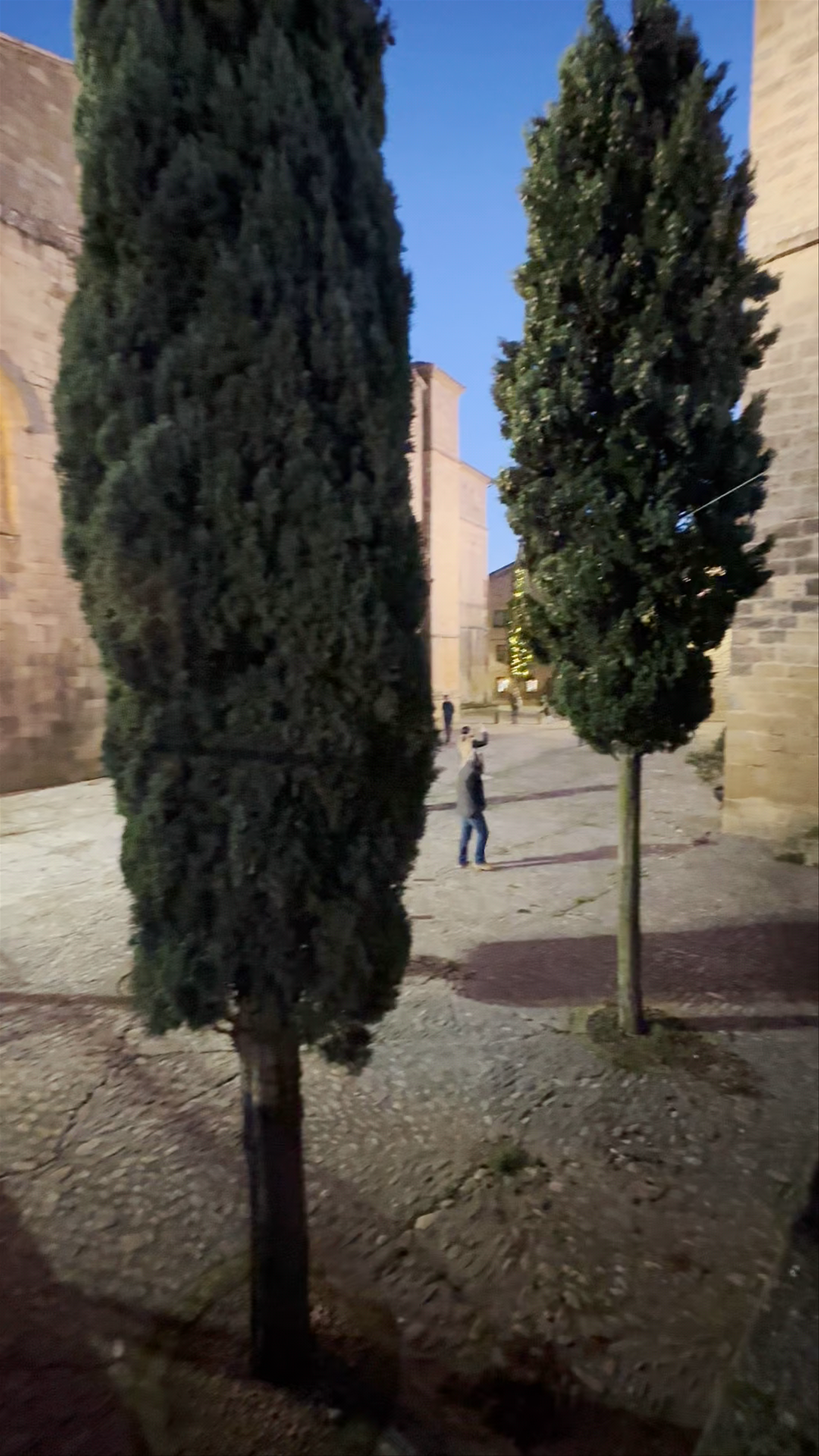 Abade-dorrea/Torre Abacial