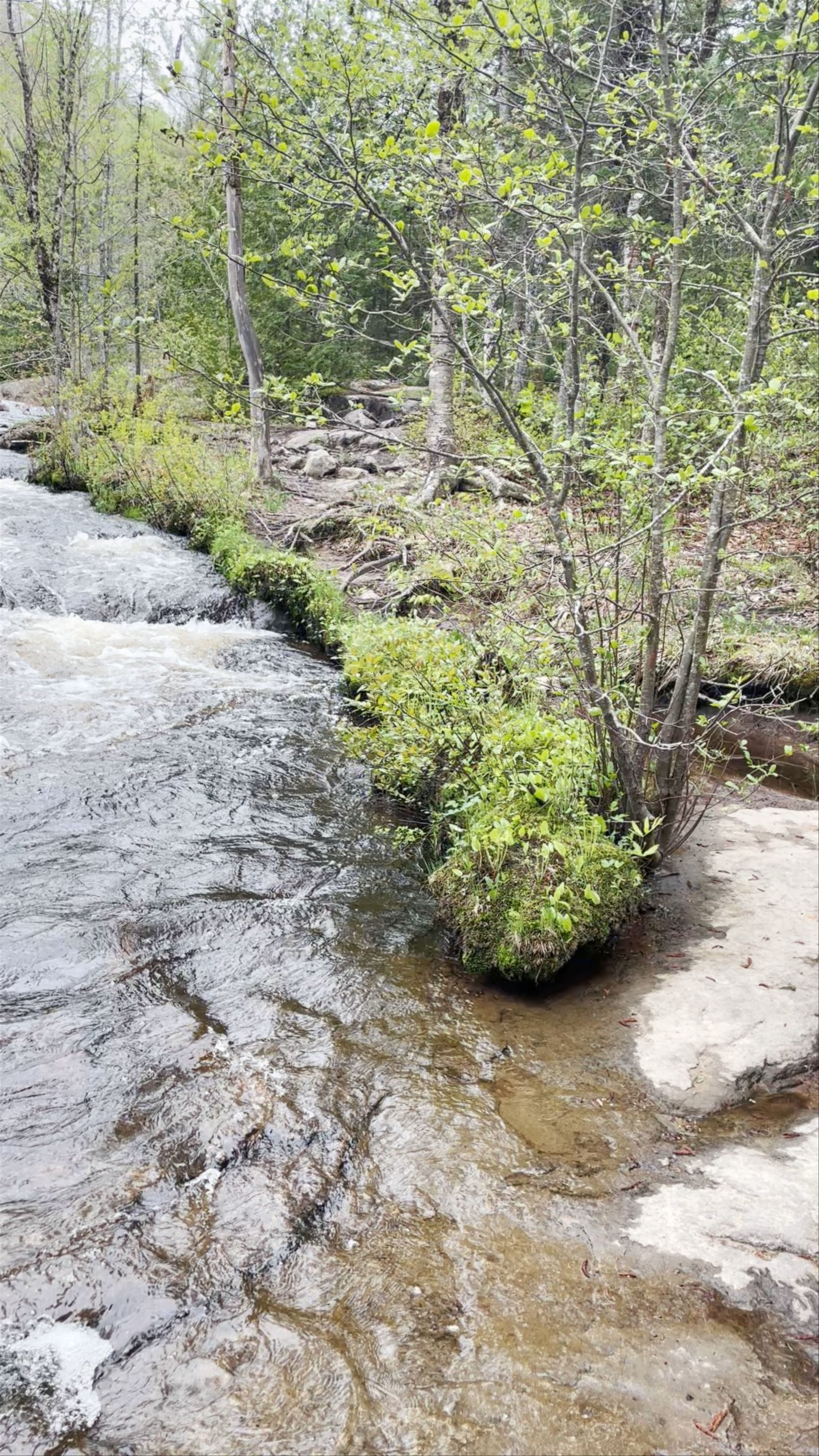 Doncaster River Park