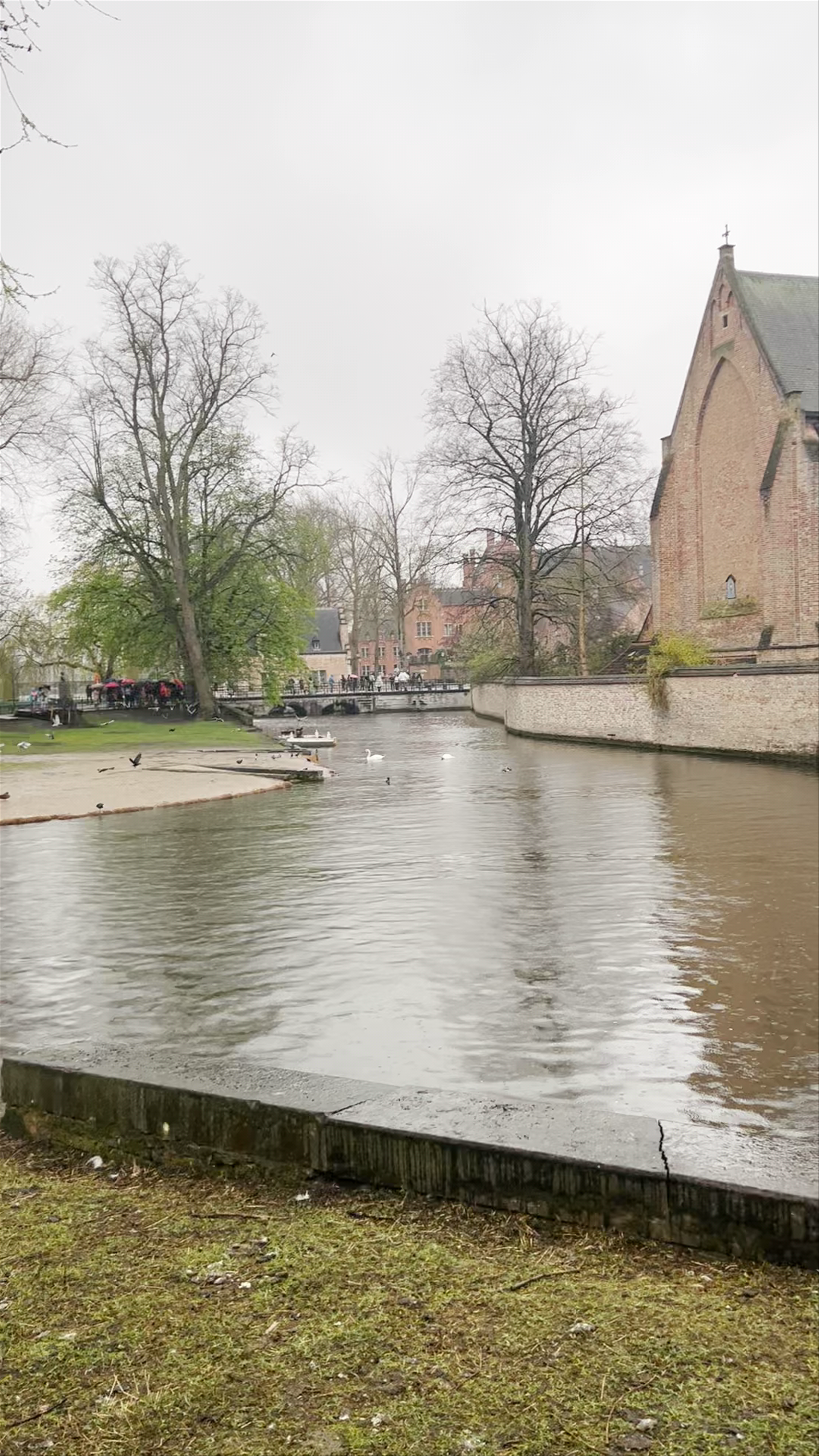 Serene Canal and Historic Streets of Bruges at Wijngaardplein