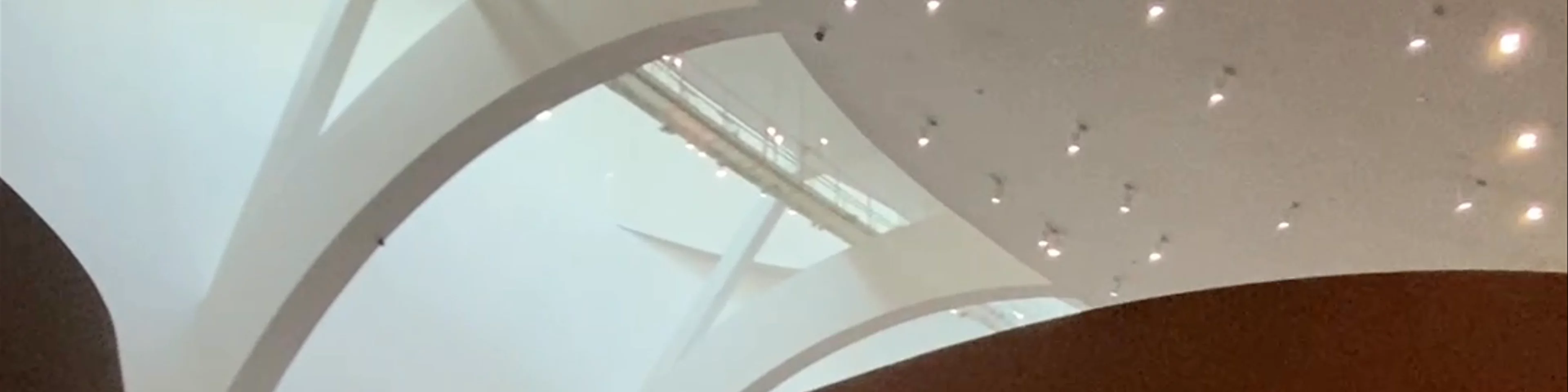 Museo Guggenheim