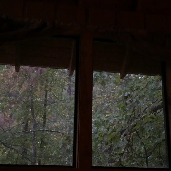 Camp LeConte - 6am rain on the metal roof. Seriously amazing. - Campgrounds Near Me - Gatlinburg, Tennessee