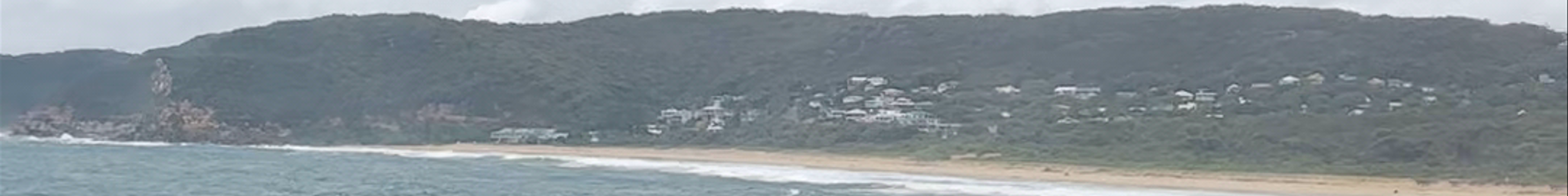 Tours & experiences in Central Coast
