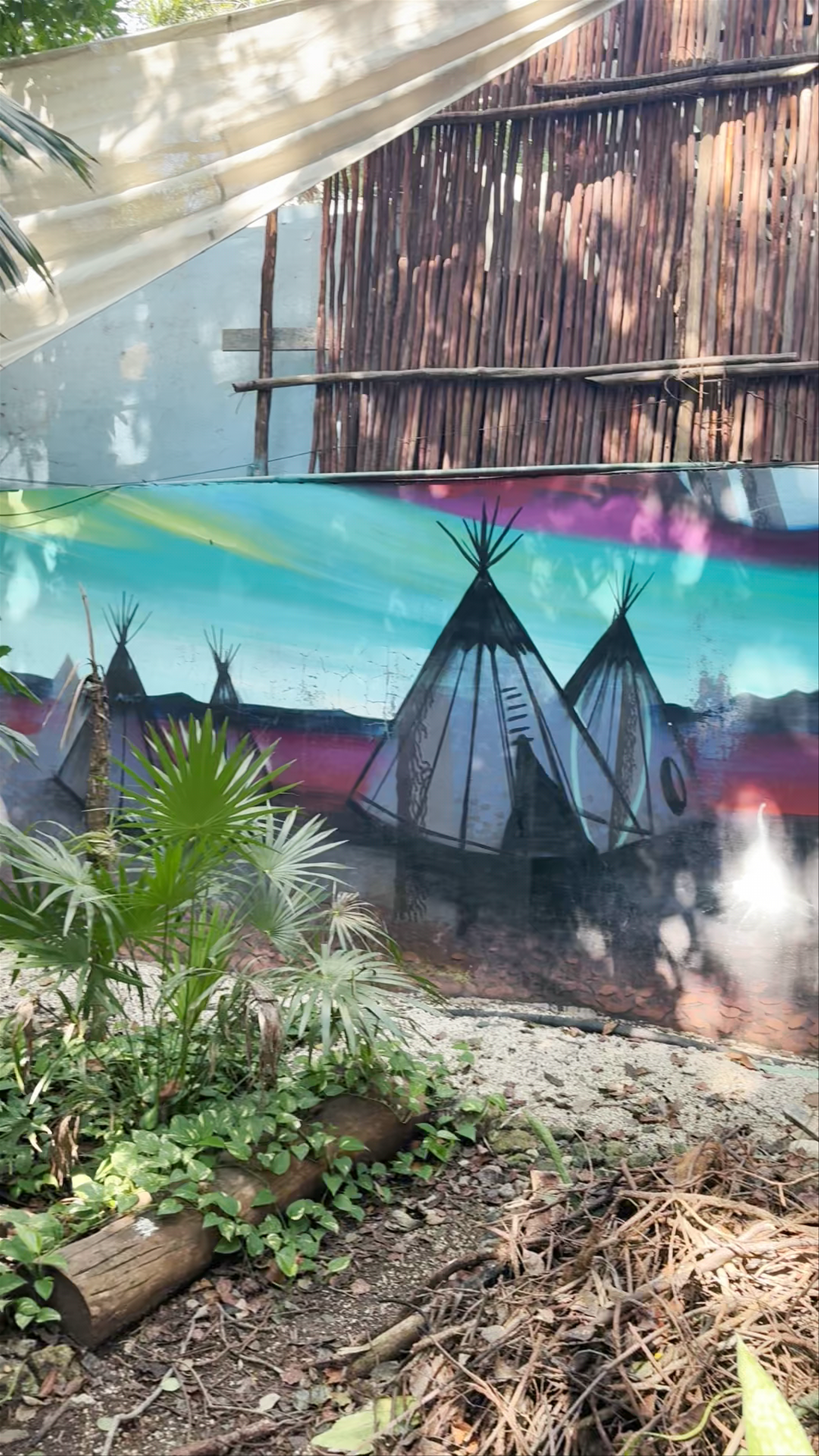 Nature-Infused Chill at Bufo Alvarius in Tulum