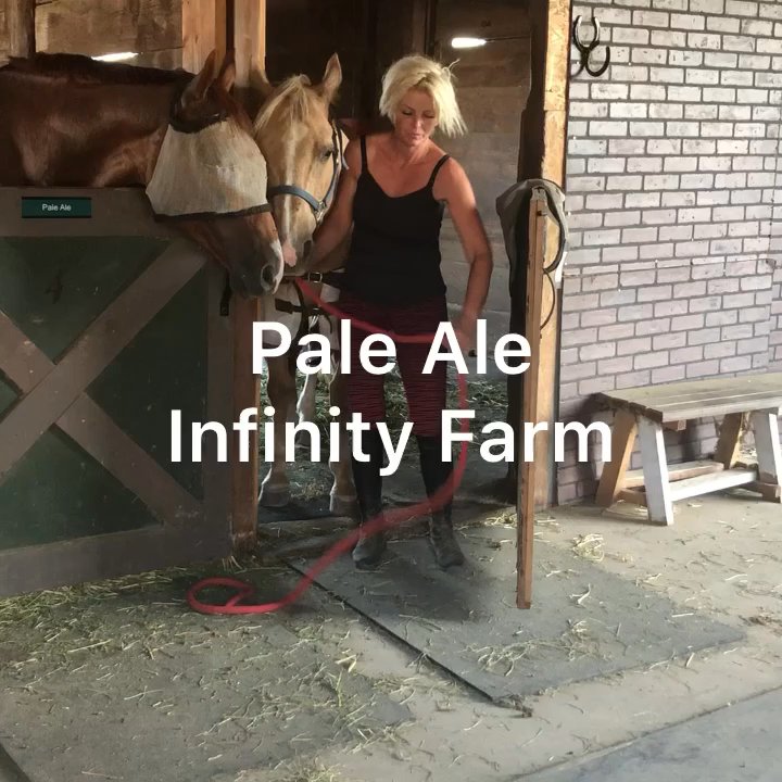 Infinity Farm - Pale Ale at Infinity Farm!  It just feels like family... - Horse Boarding Near Me - Marysville, California