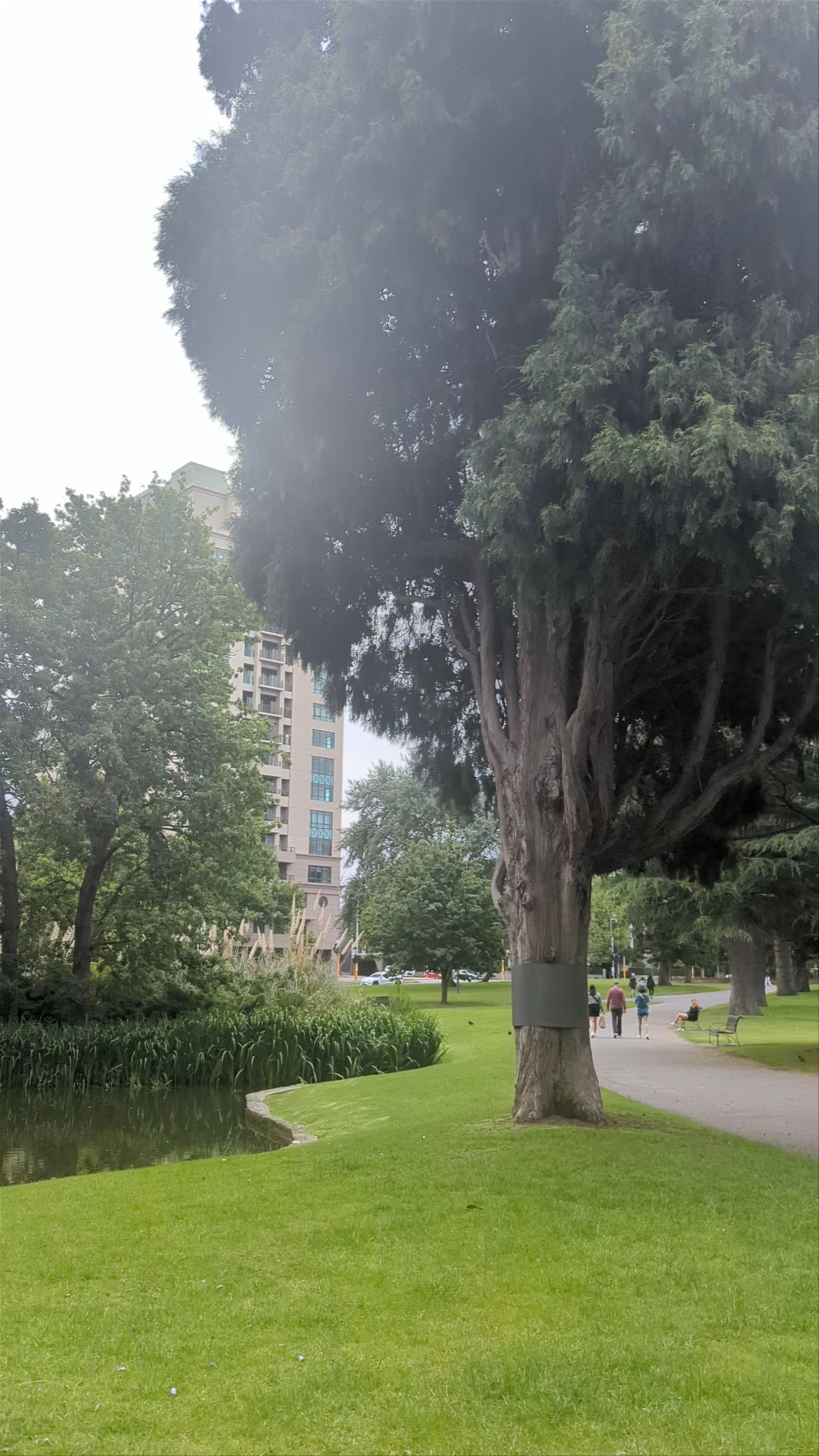Carlton Gardens