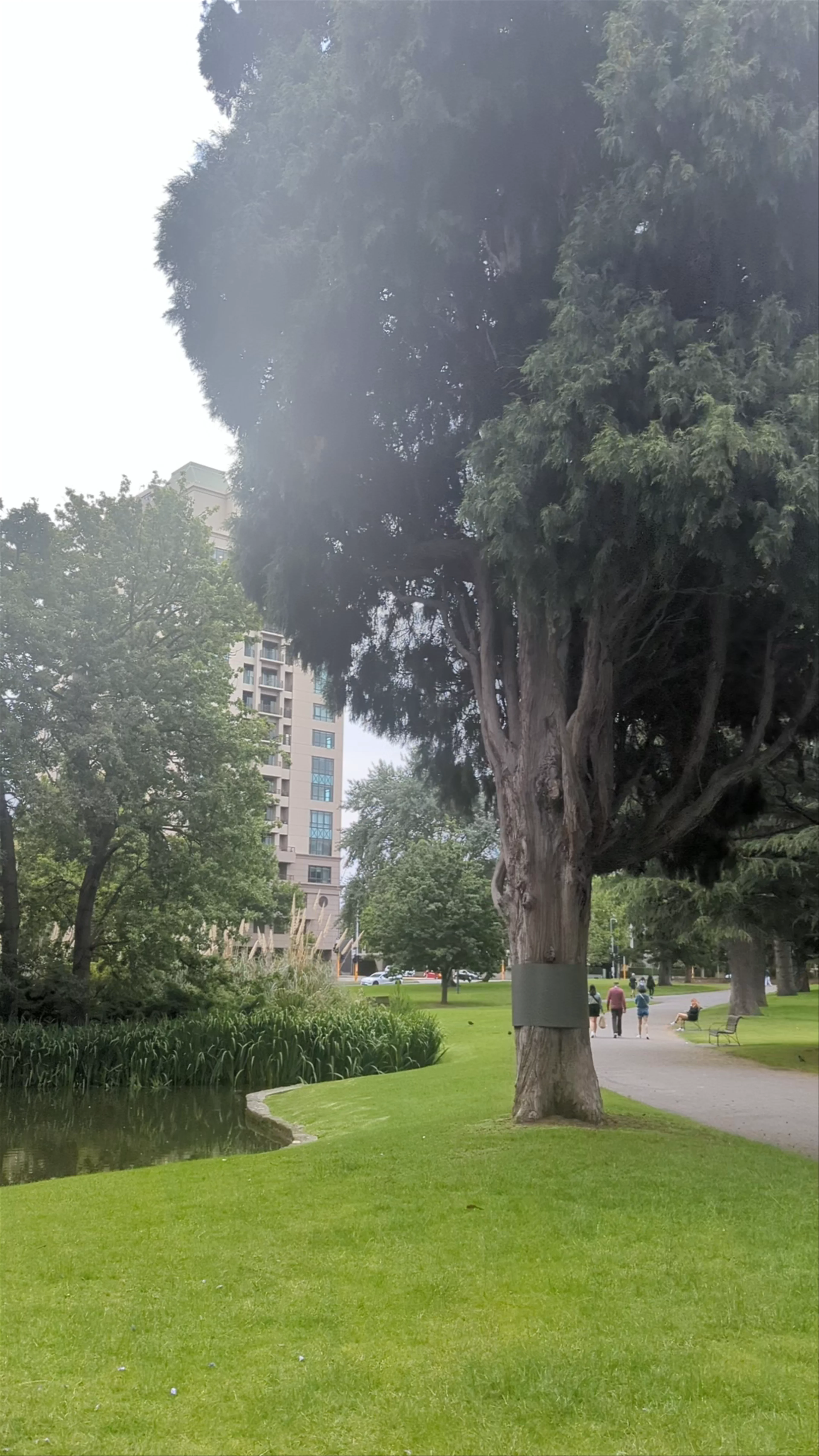 Carlton Gardens