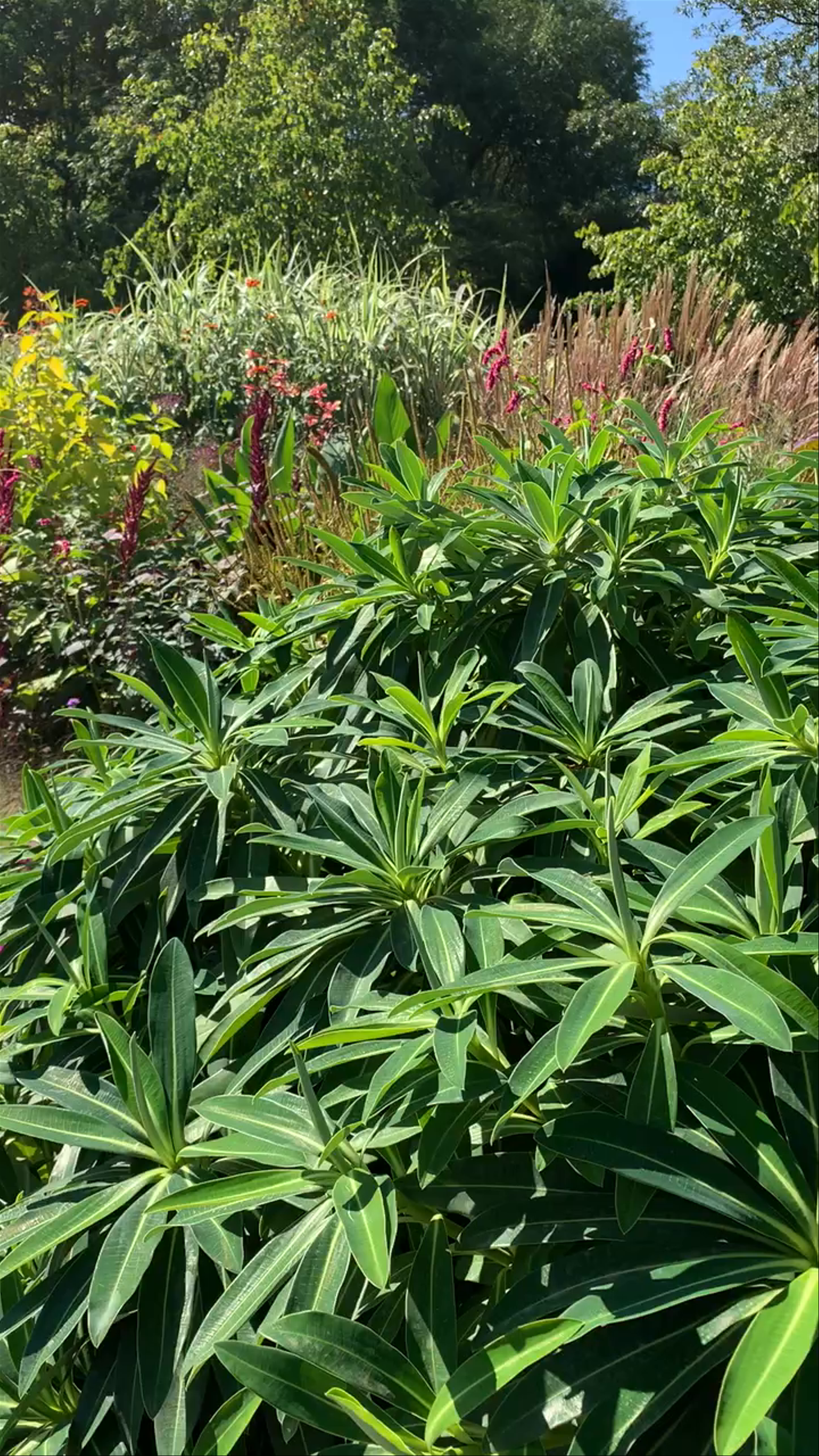 Oxford Botanic Garden