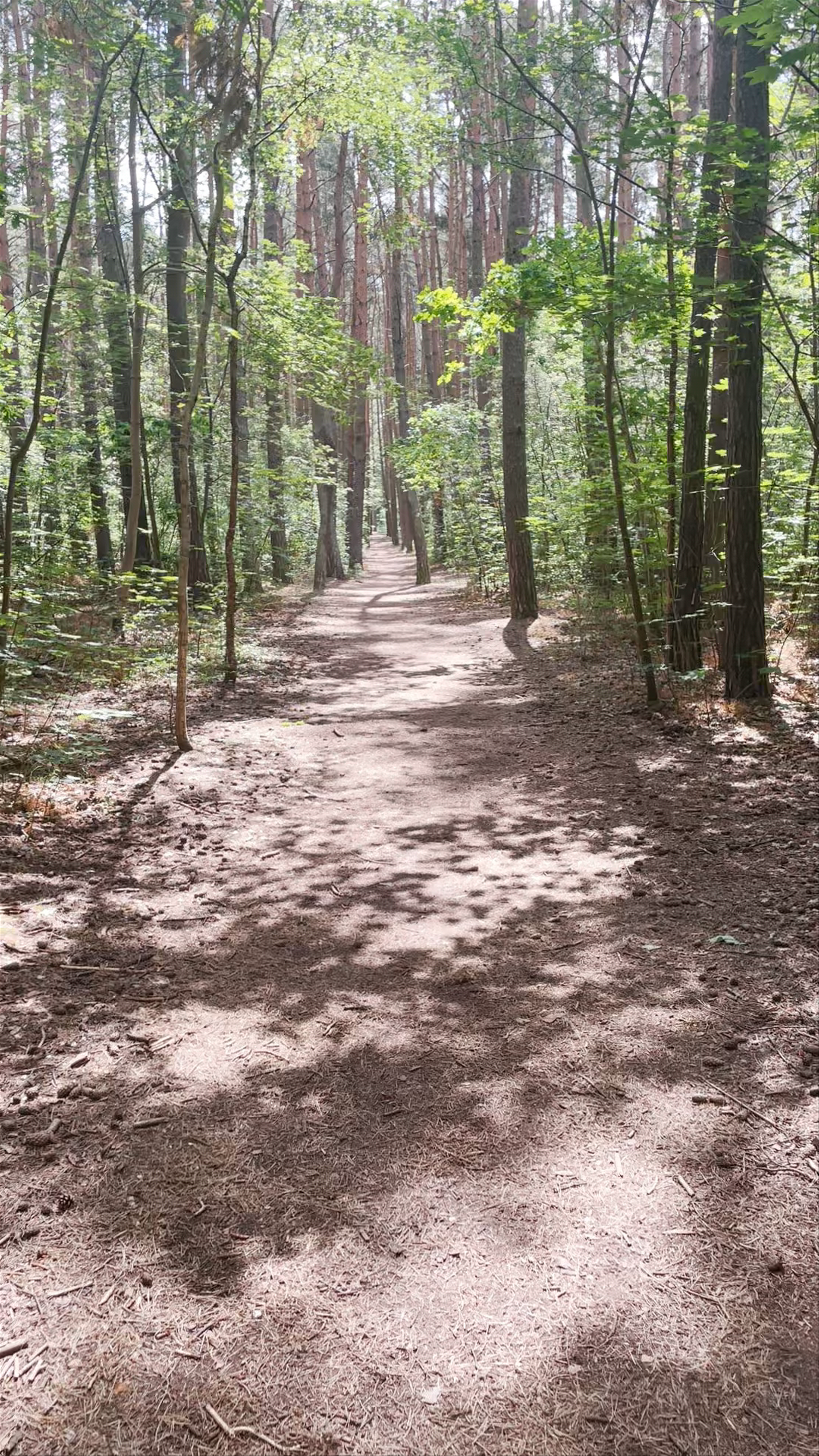 Park Ronalda Reagana