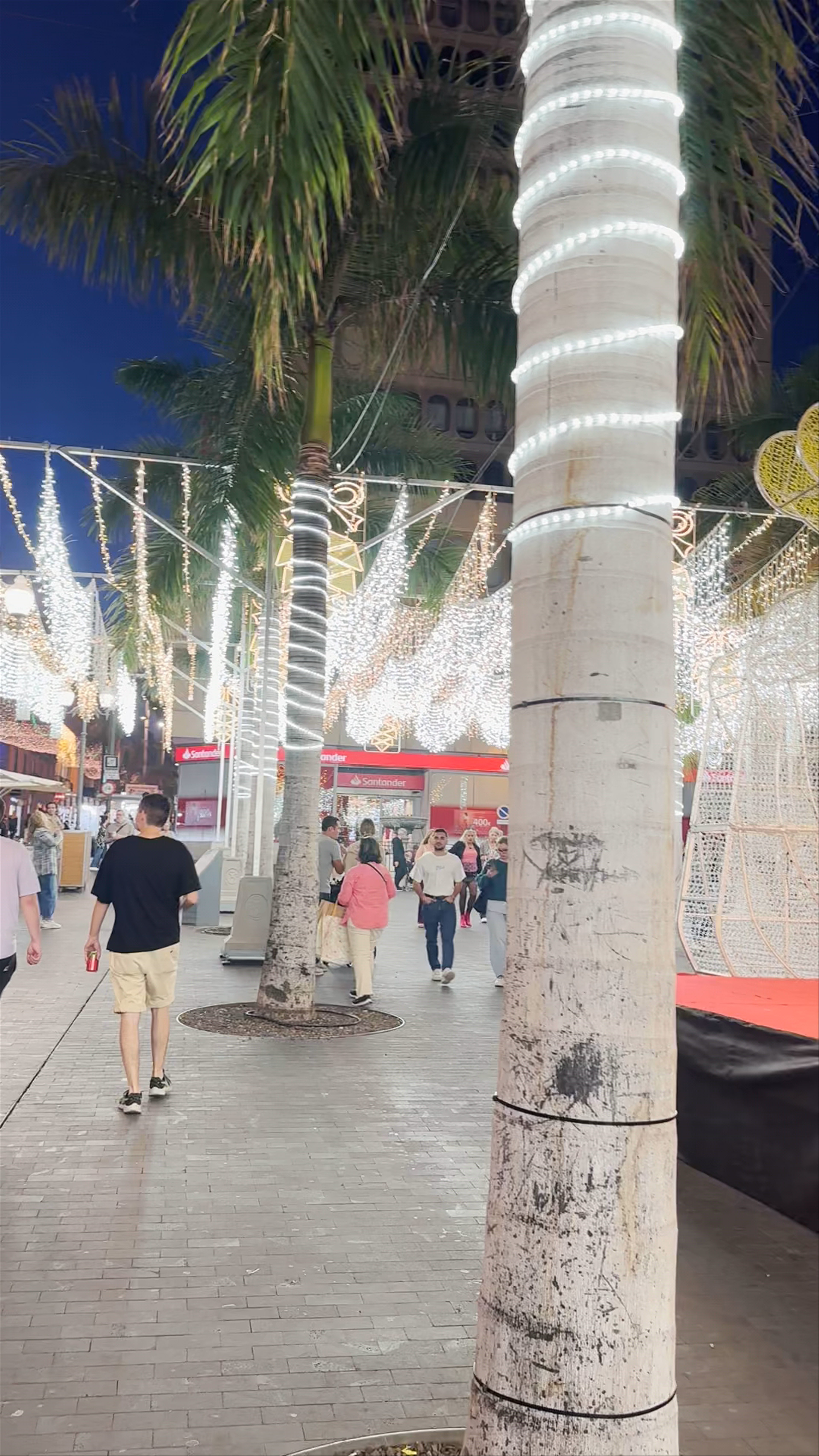 Plaza de la Candelaria Night Lights and Festive Atmosphere in Santa Cruz de Tenerife