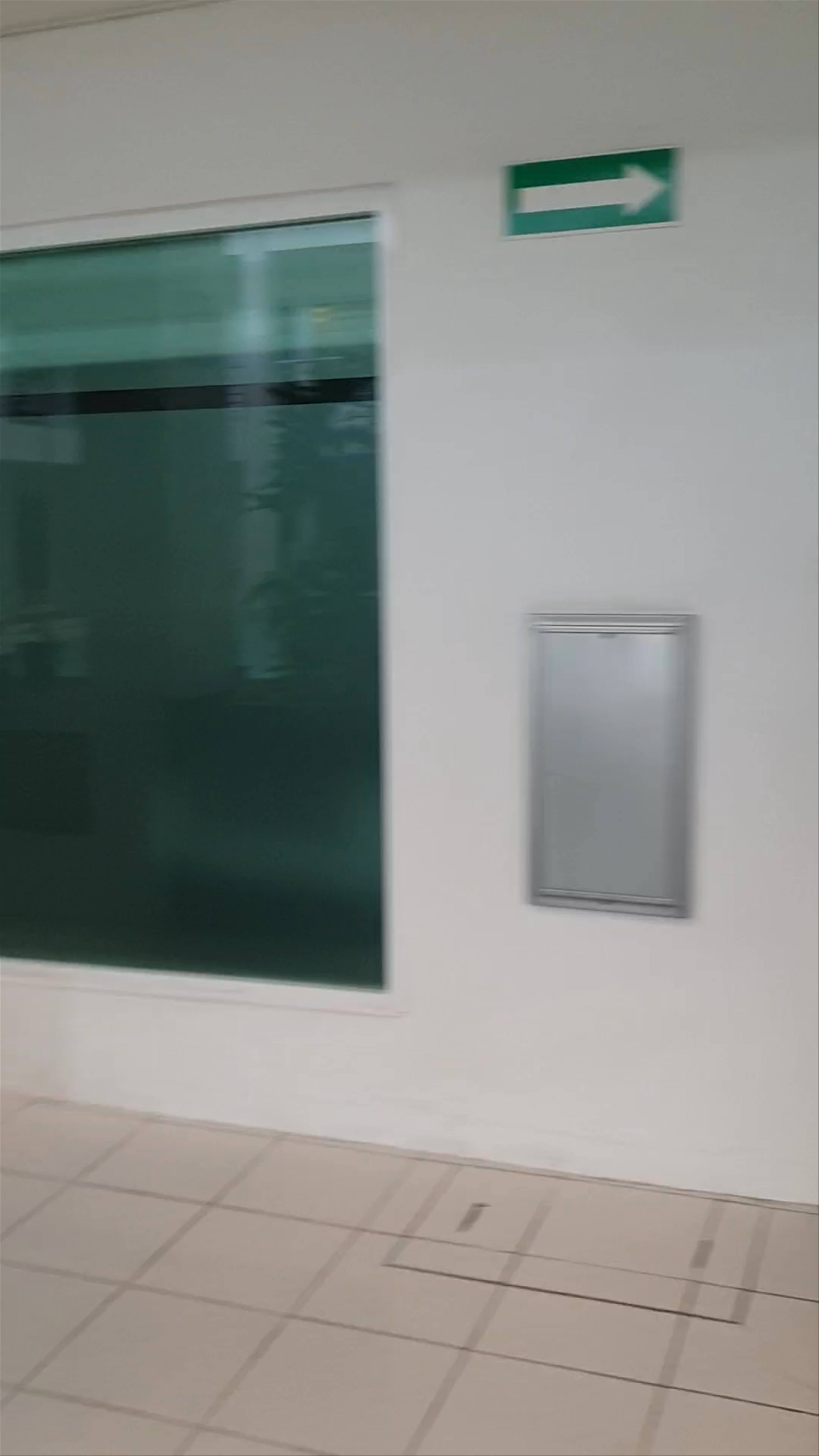 TRYP by Wyndham Chetumal: Modern Comfort and Poolside Relaxation