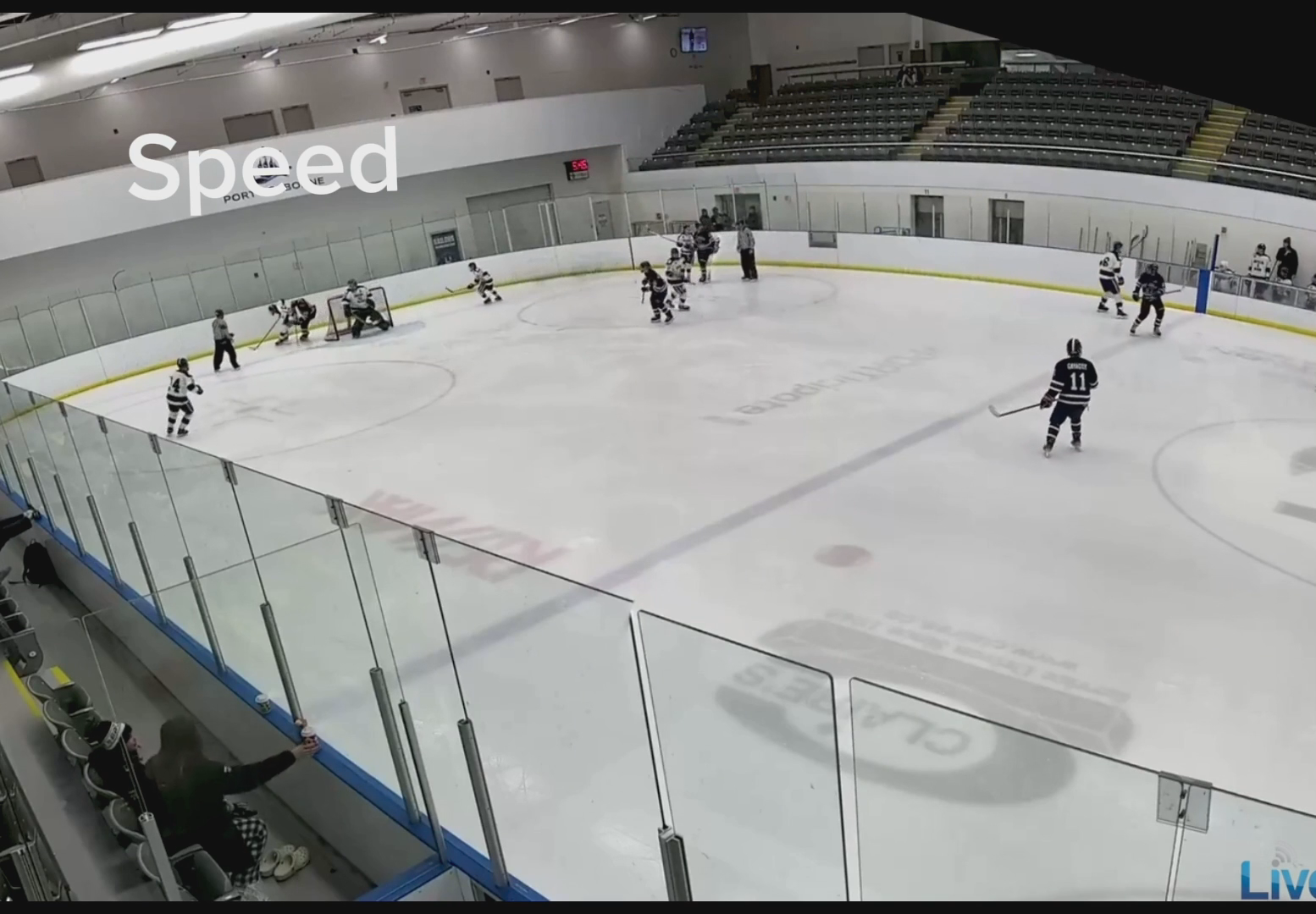 Mantas Lisauskas: Game Highlights from Crystal Beach academy
