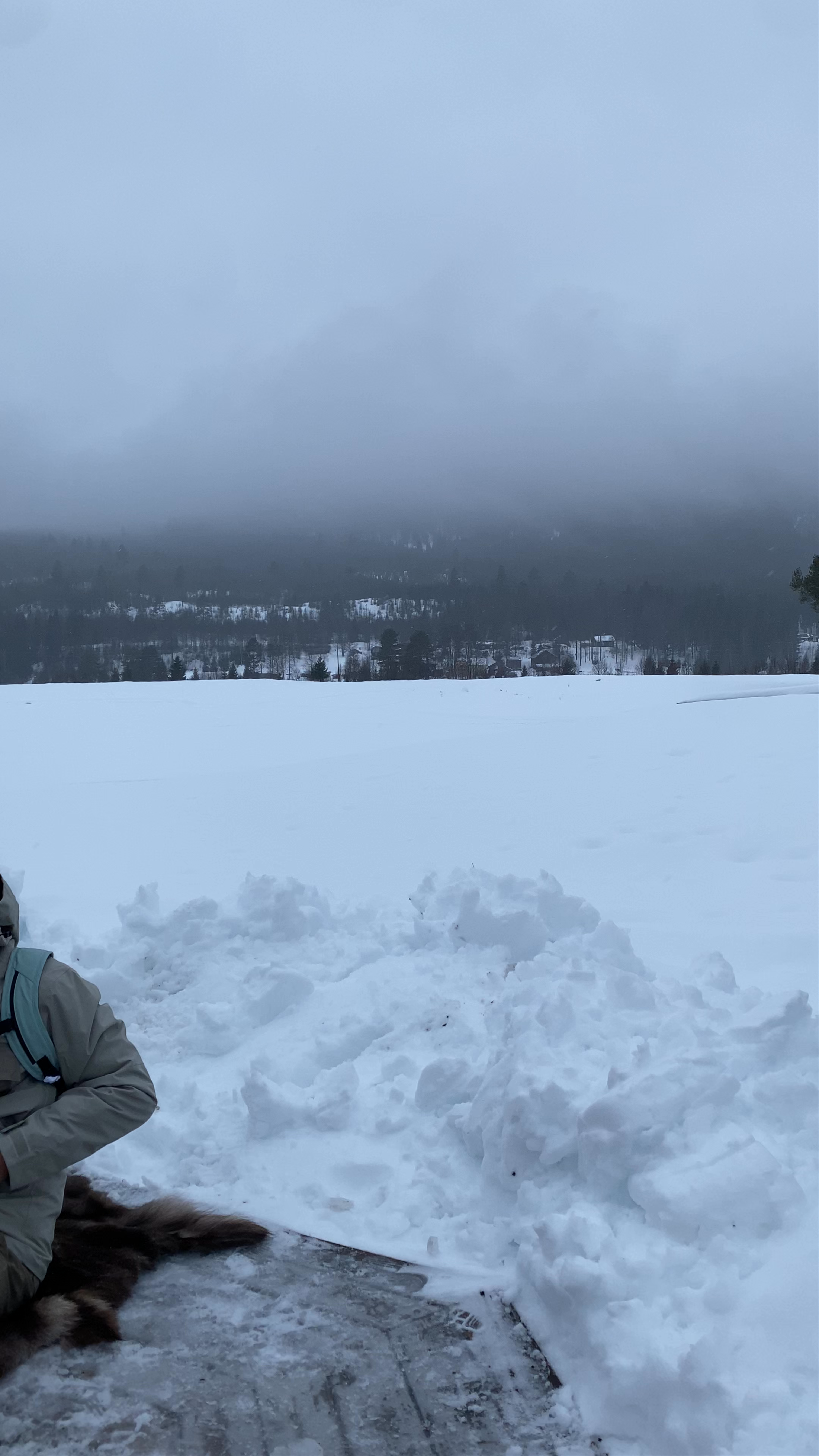 Torgåsgården Hostel