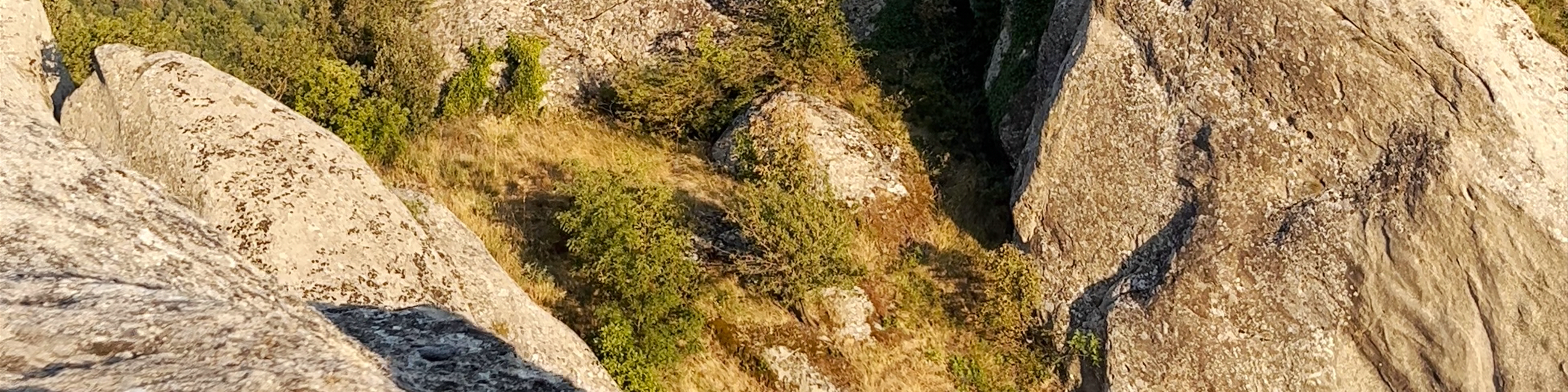 Potenza