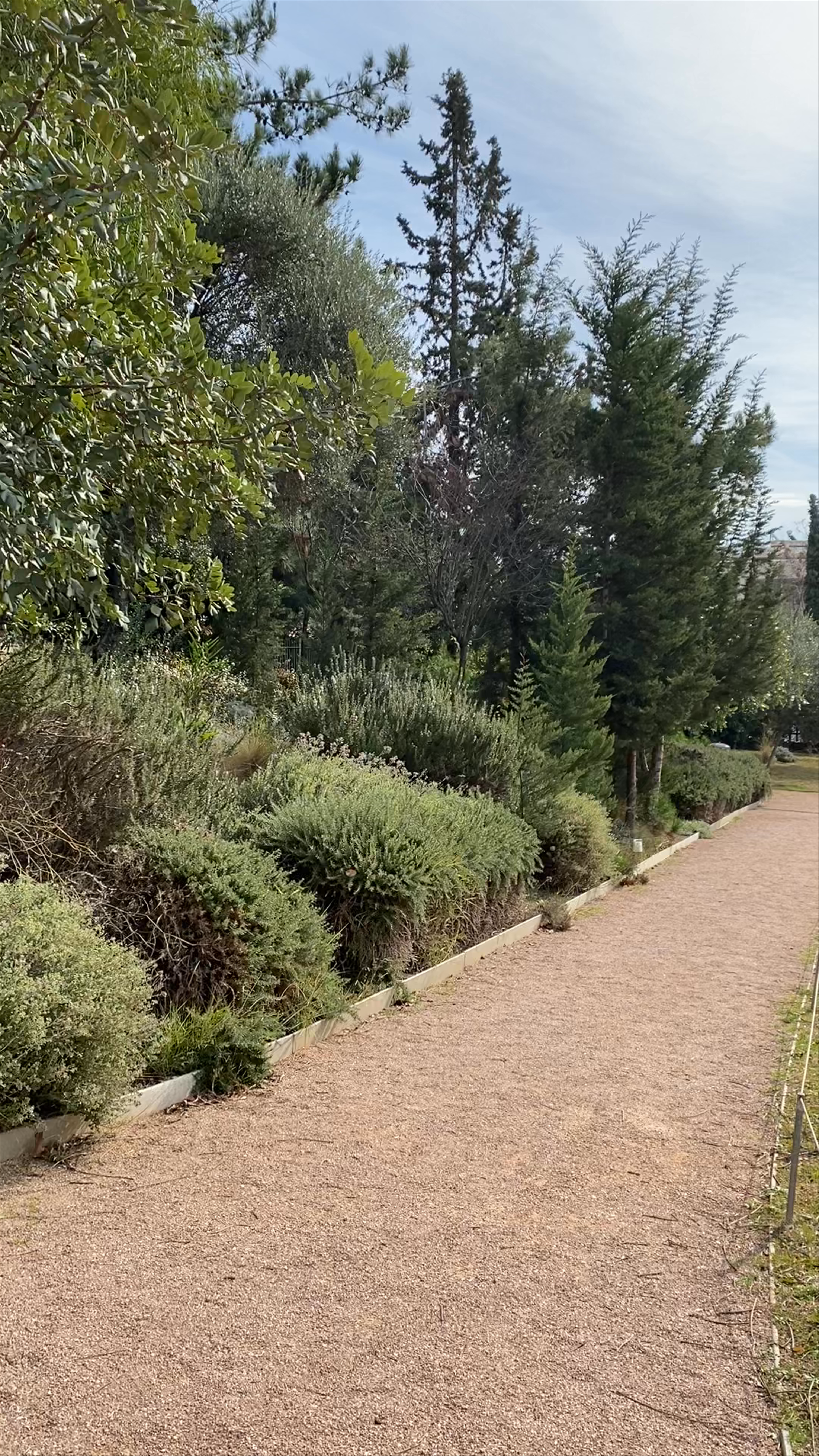 Archaeological Site of Lyceum of Aristotle, Athens
