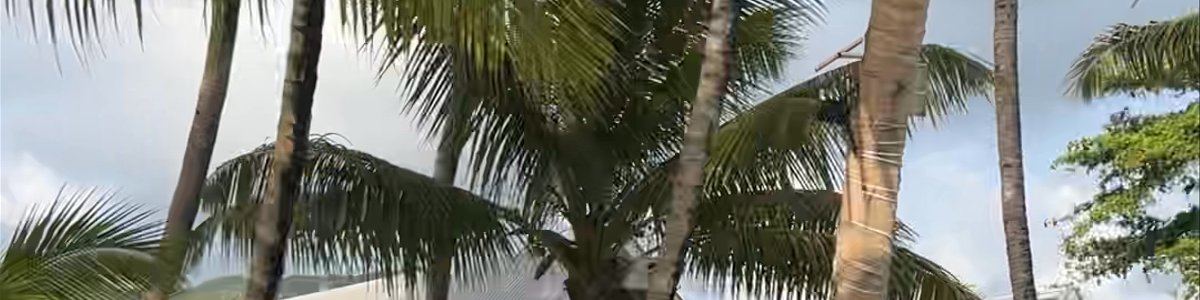Grand'Anse Praslin