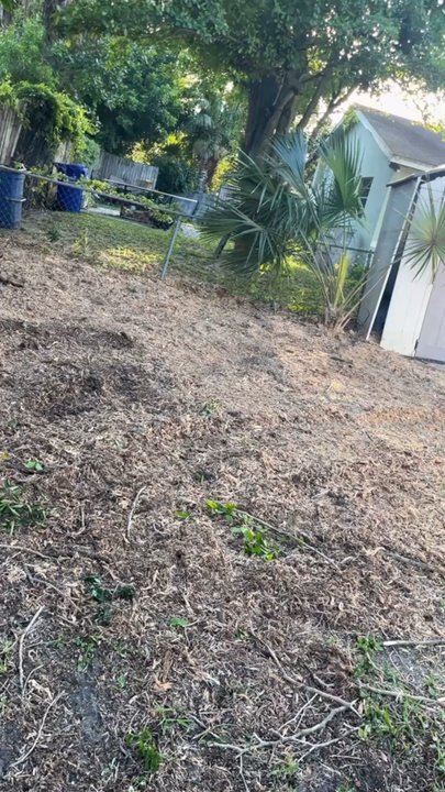 Héctor Tree Service - Tree Services Near Me - North Lauderdale, Florida