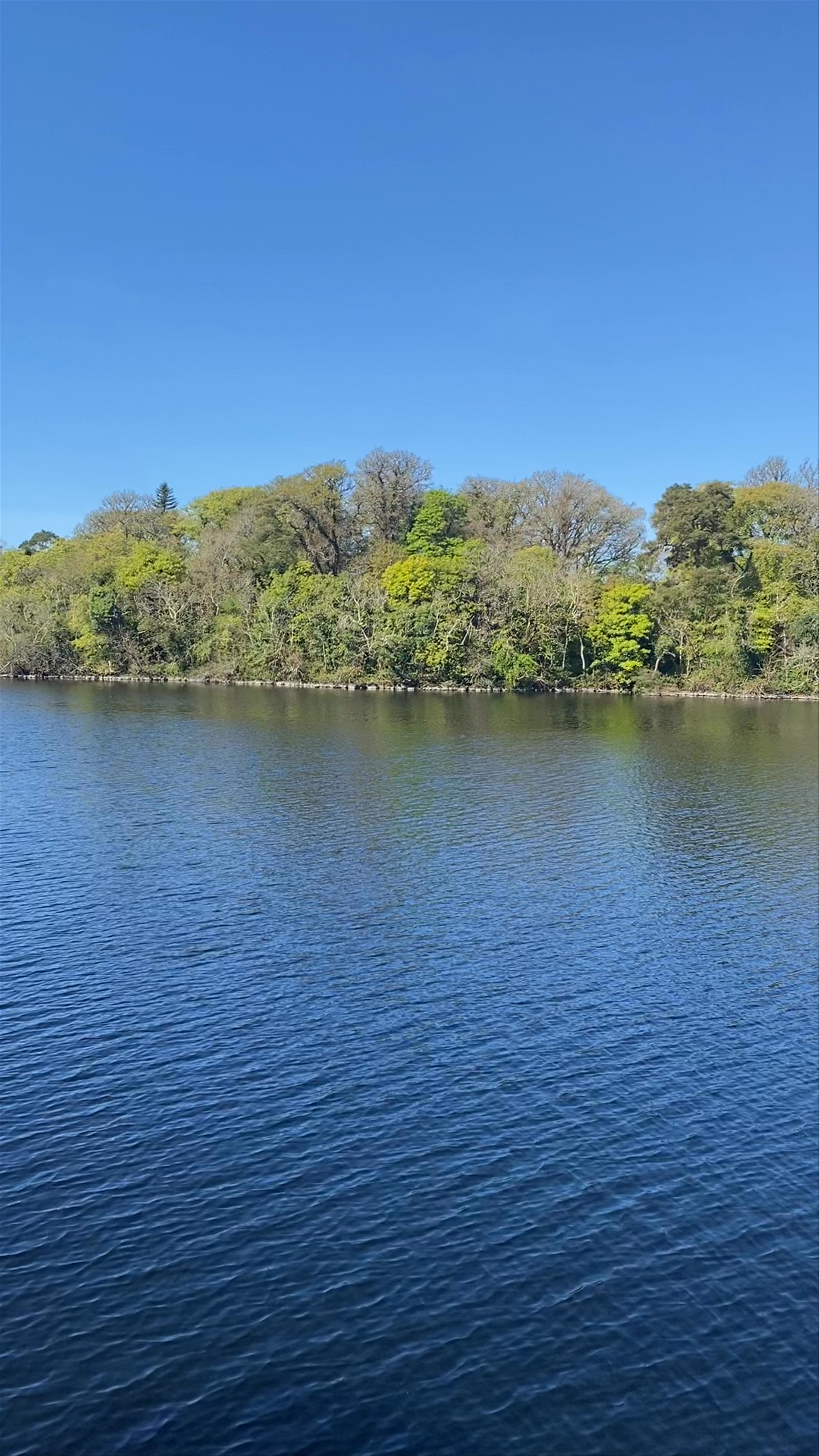 Tranquil Lake Views at Ashford Castle in Cong, Ireland