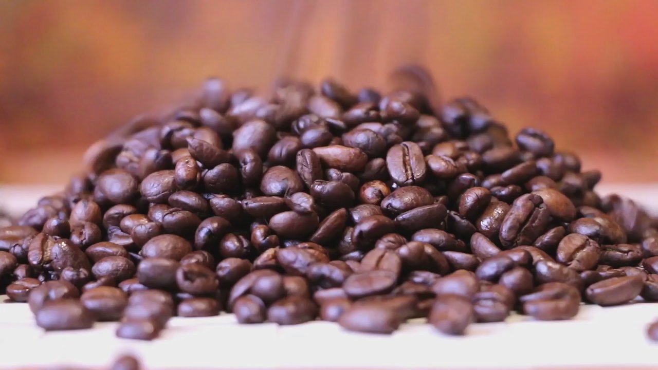 Mofer Coffee - Coffee & Tea Supplies Near Me - Toronto, Ontario