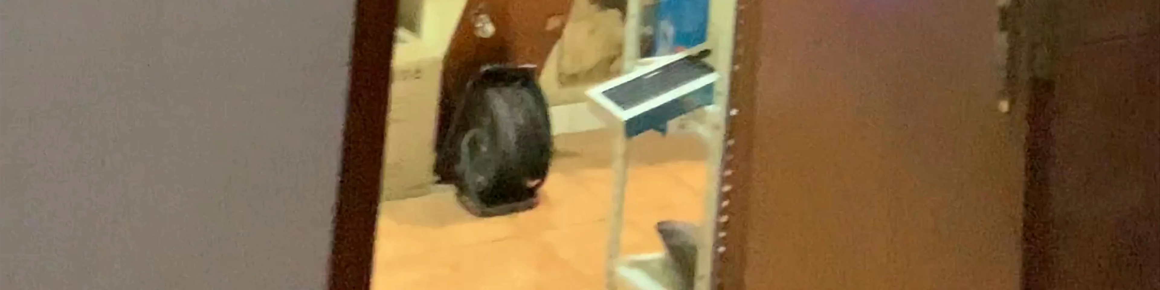 Play Point