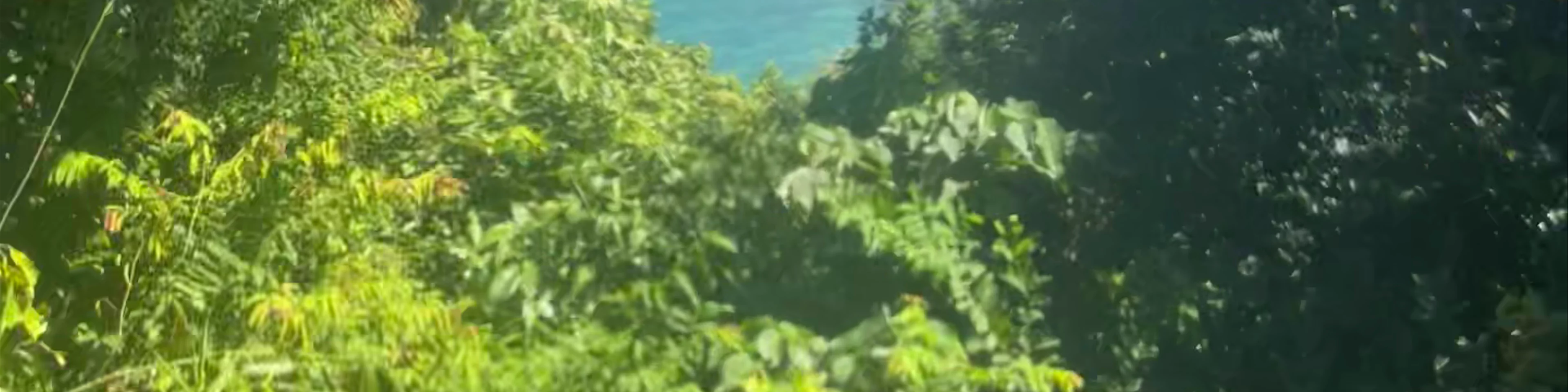 Palawan Zipline Adventure Inc.