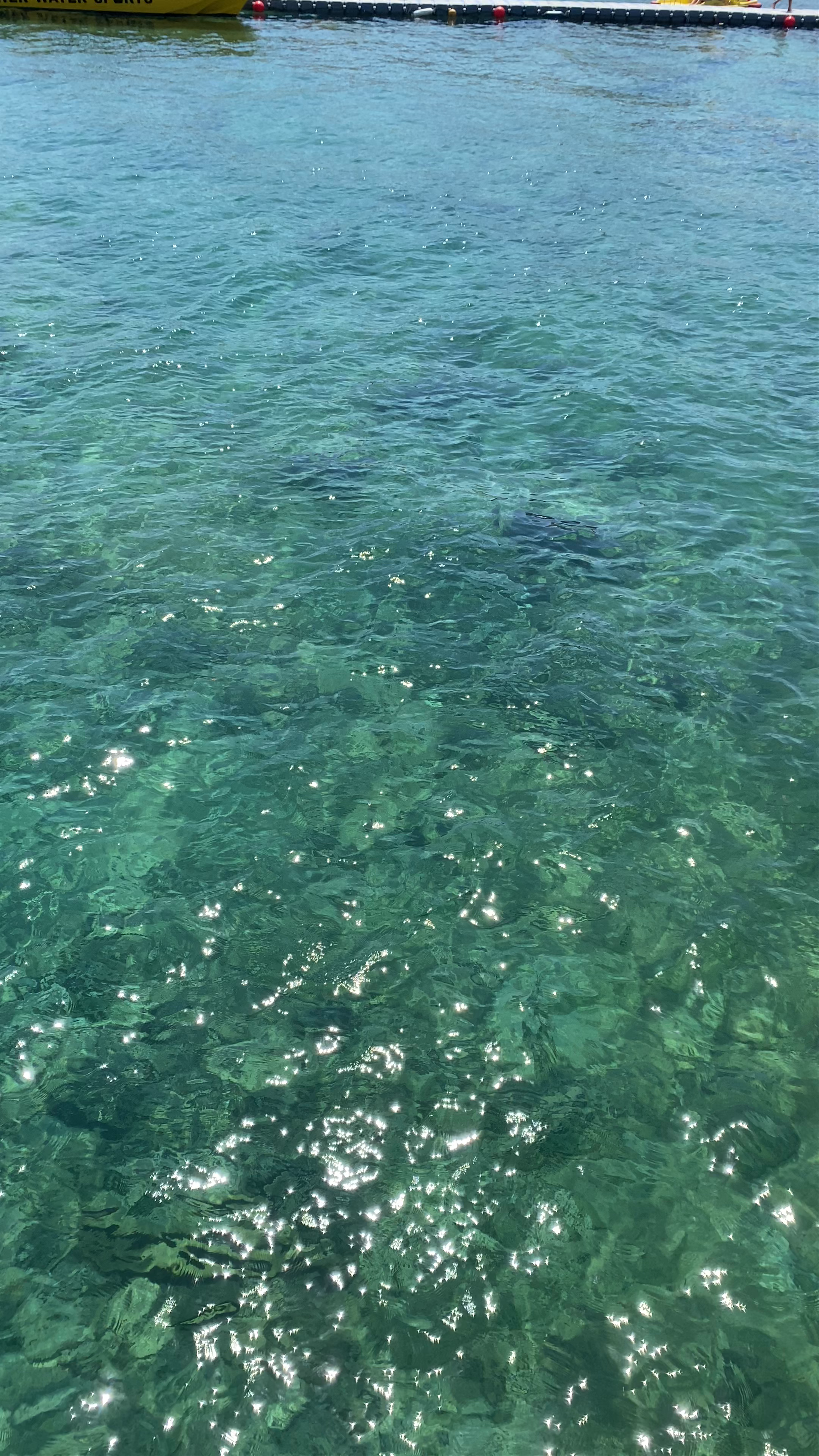 Fig Tree Bay
