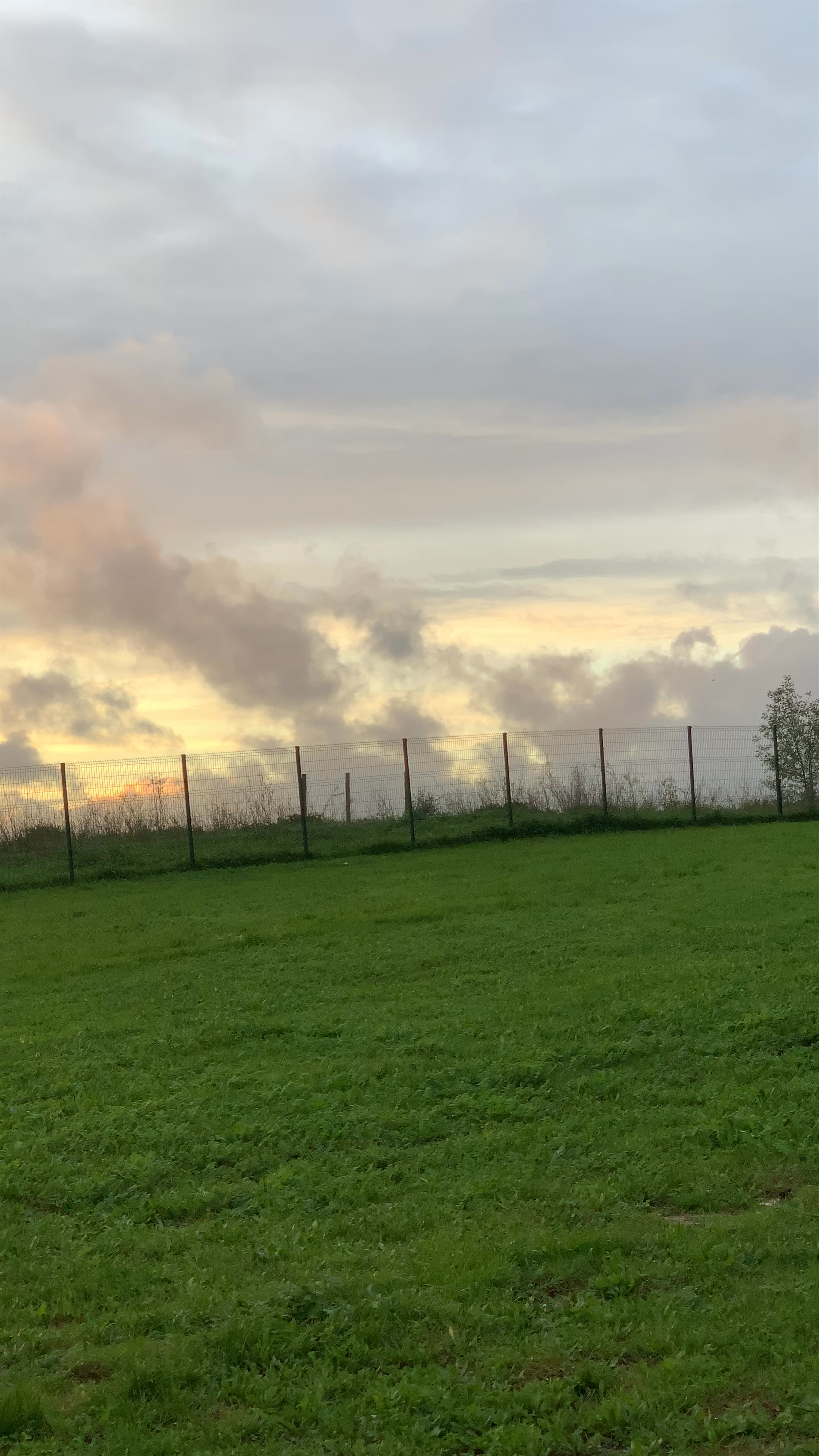 Parque da Bela Vista