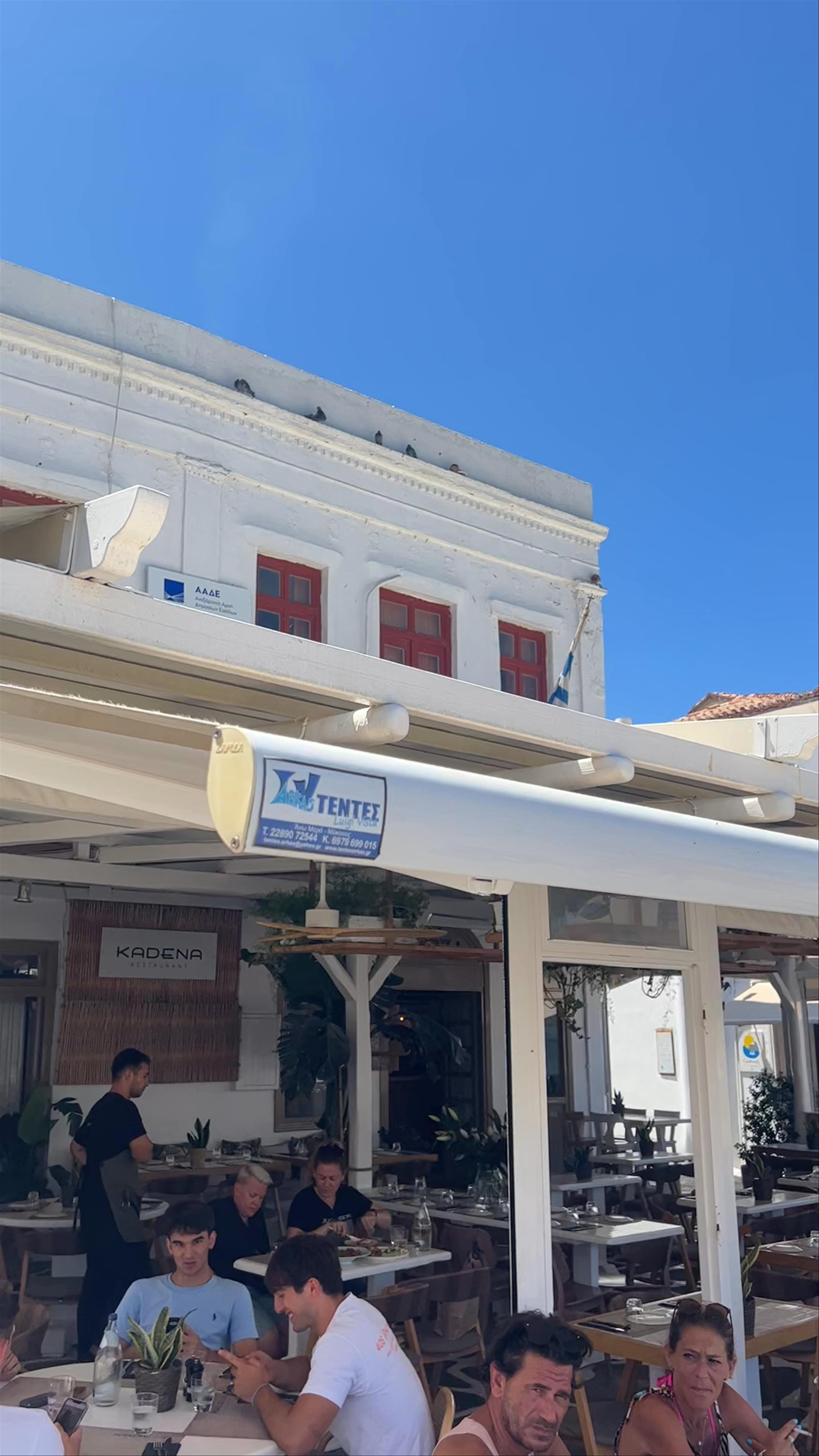 Vegera Restaurant Cafe Bar Mykonos