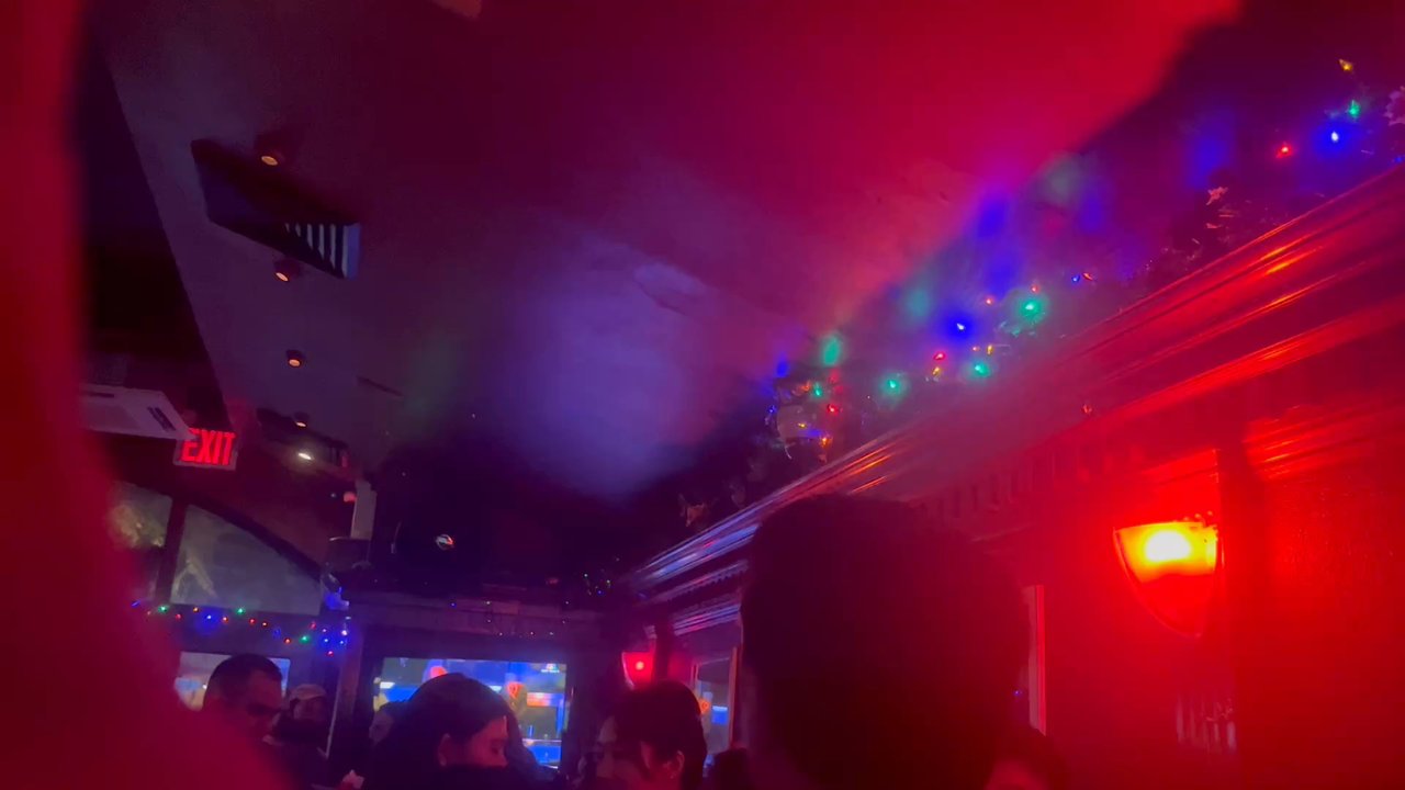 Alligator Lounge - Vibe - Lounges Near Me - Brooklyn, New York