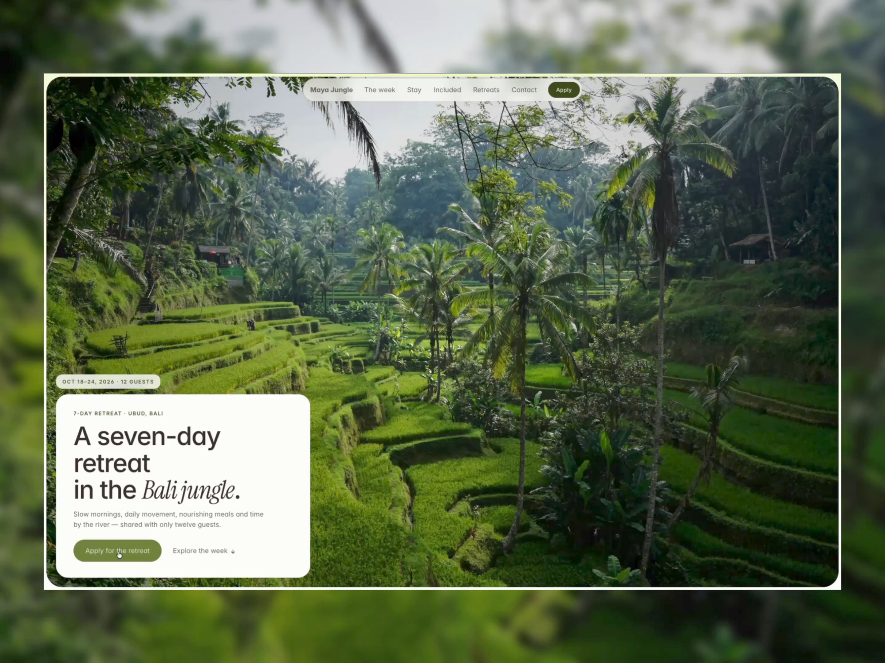 Maya Jungle