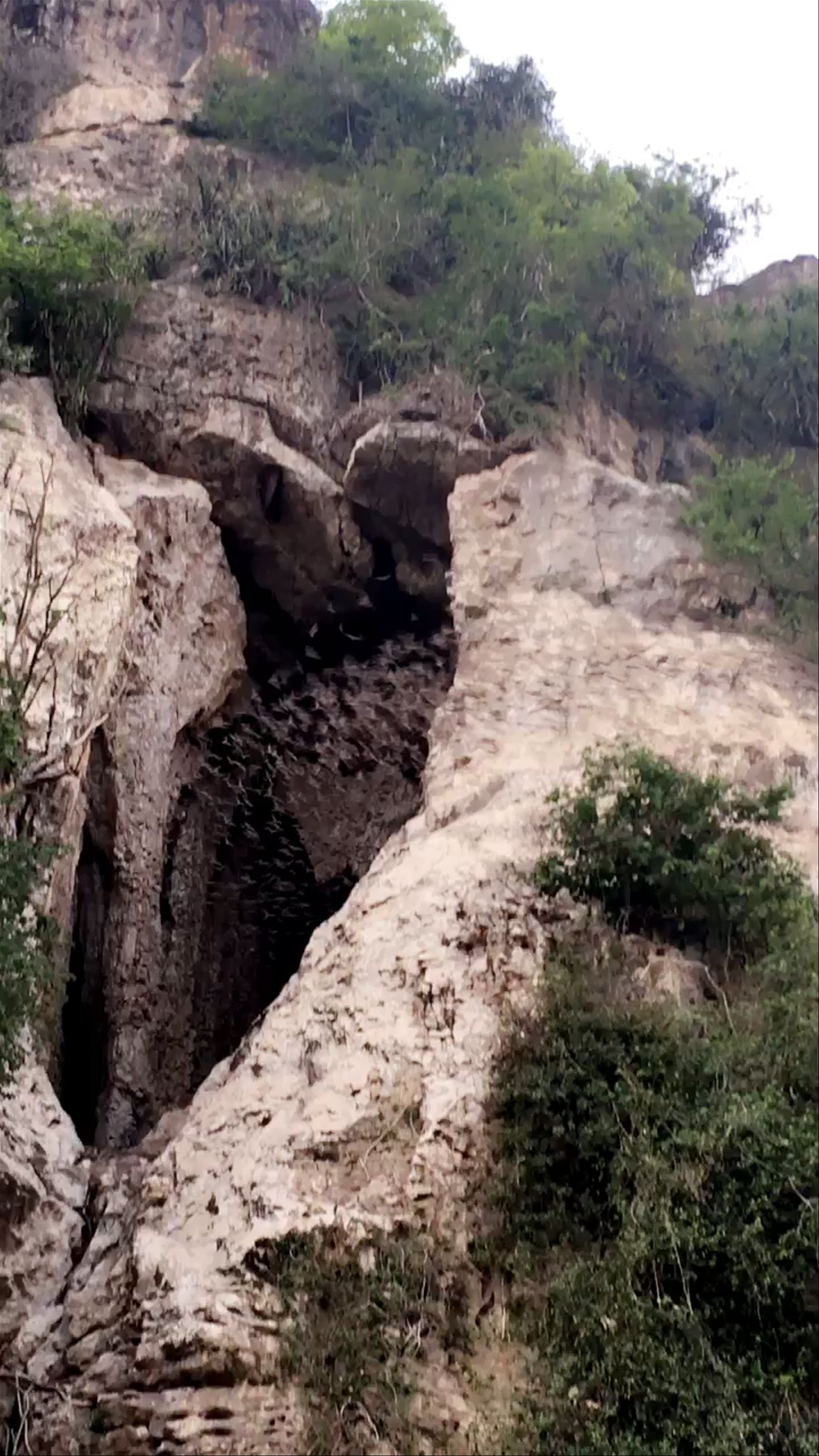 Bridge of Caves Bats Emergence, Battambang, Cambodia