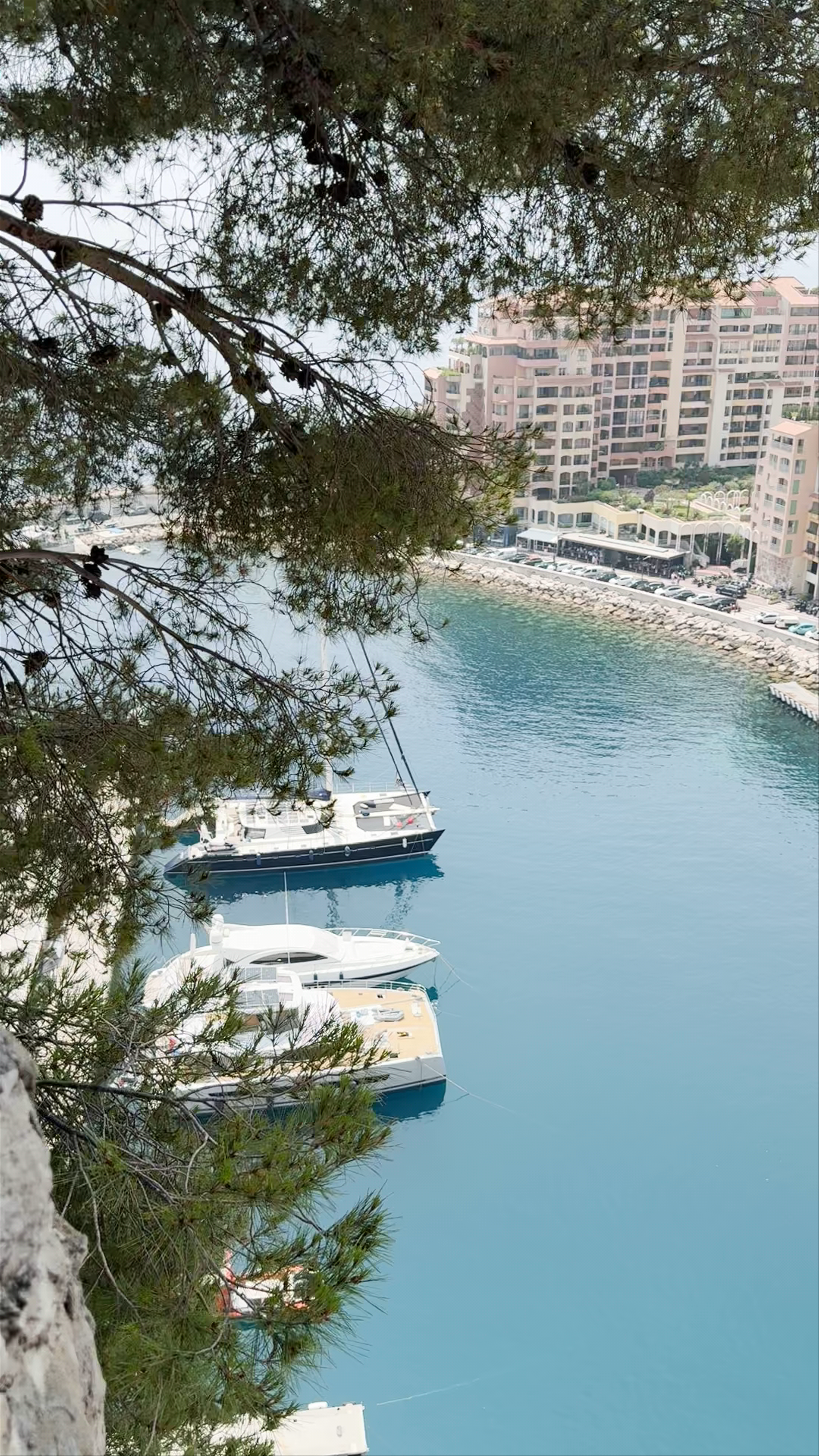Panoramic view of Monaco