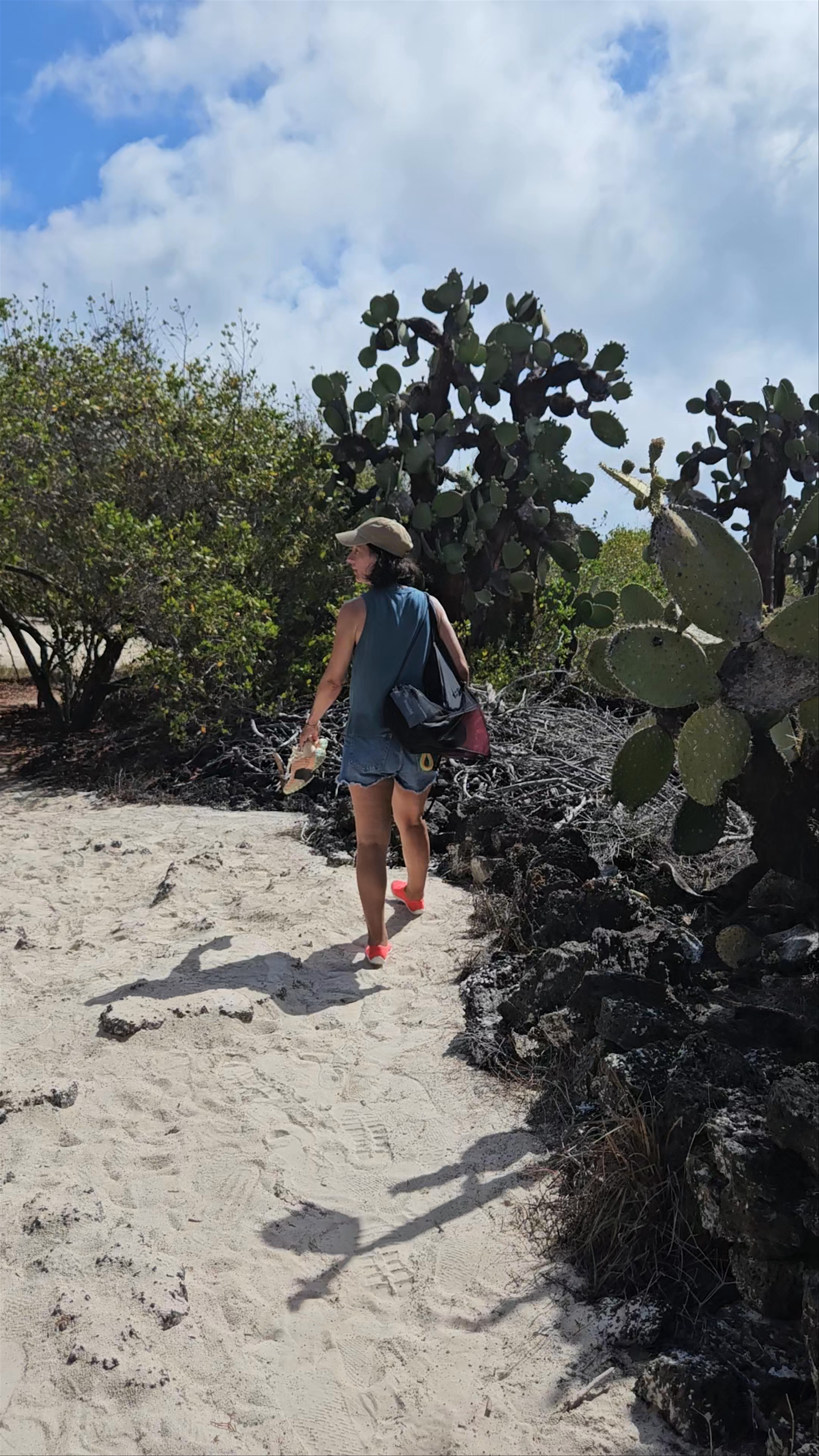 Exploring the Mystical Cactus Trails of Playa Peninsula, Ecuador