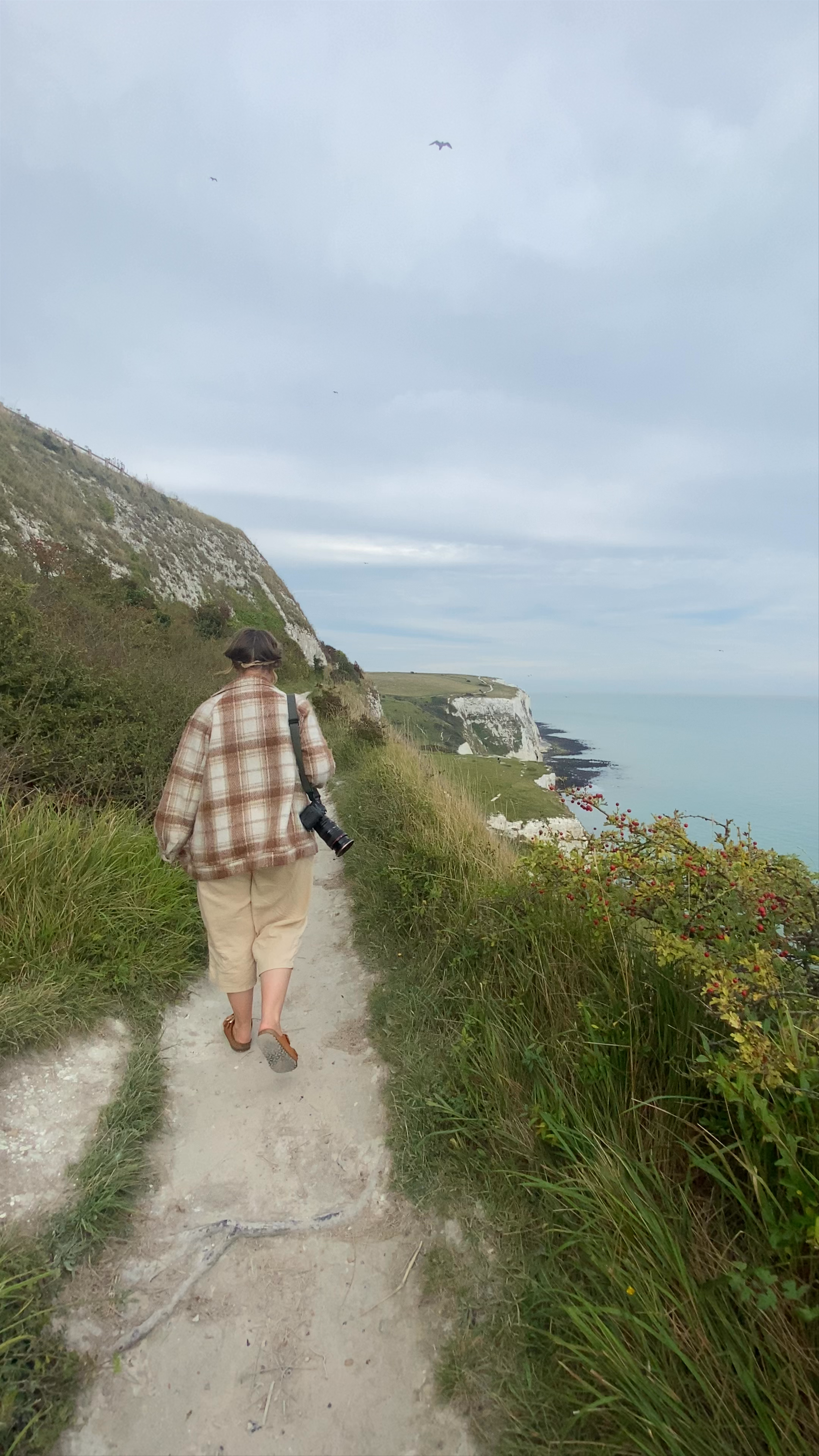National Trust - The White Cliffs of Dover