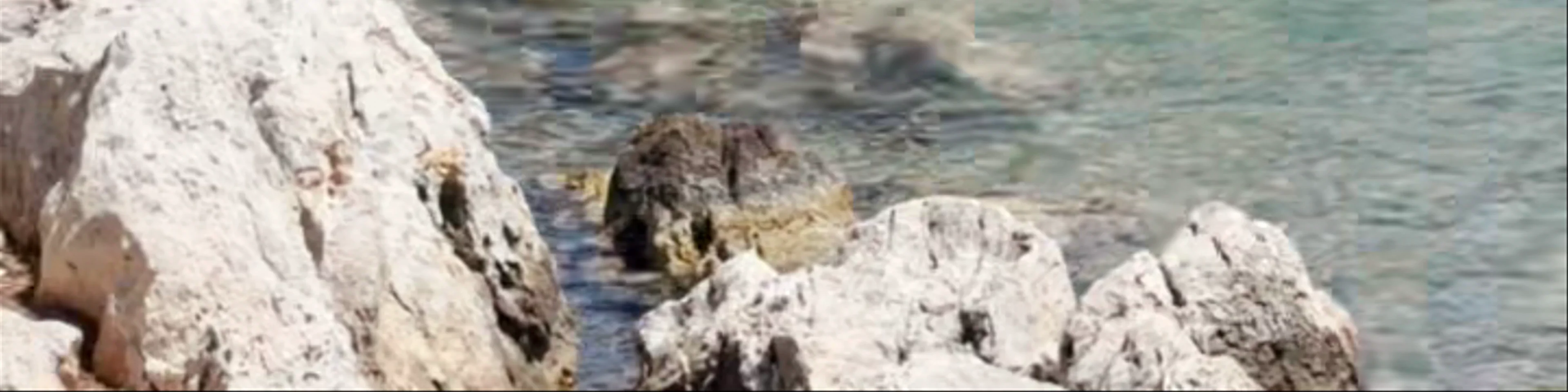 Agios Georgios Daily Cruises