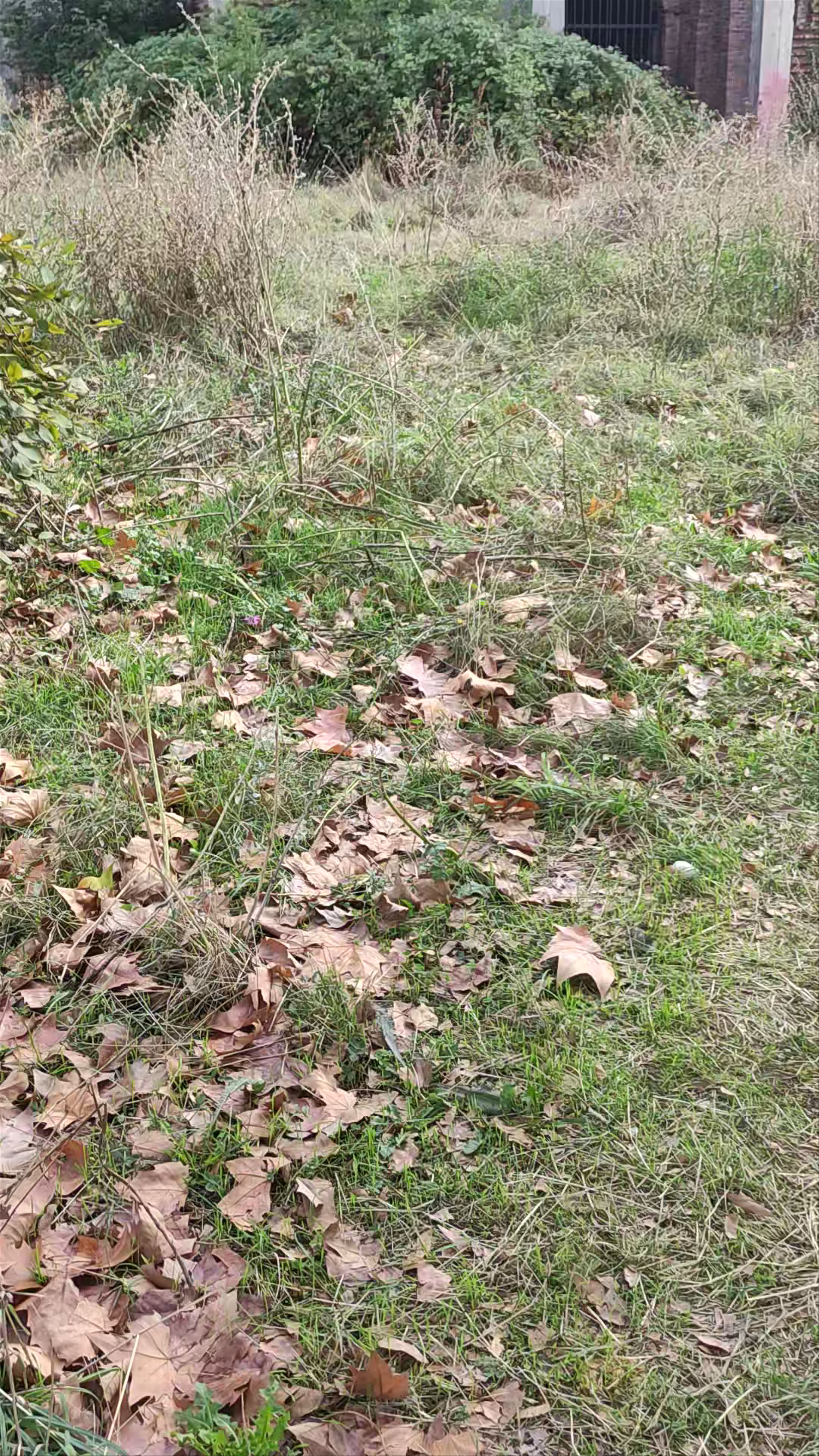 Iglesia de Cristo Salvador