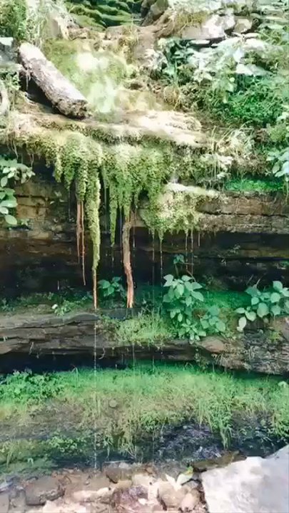 Devil's Den State Park - Parks Near Me - Winslow, Arkansas