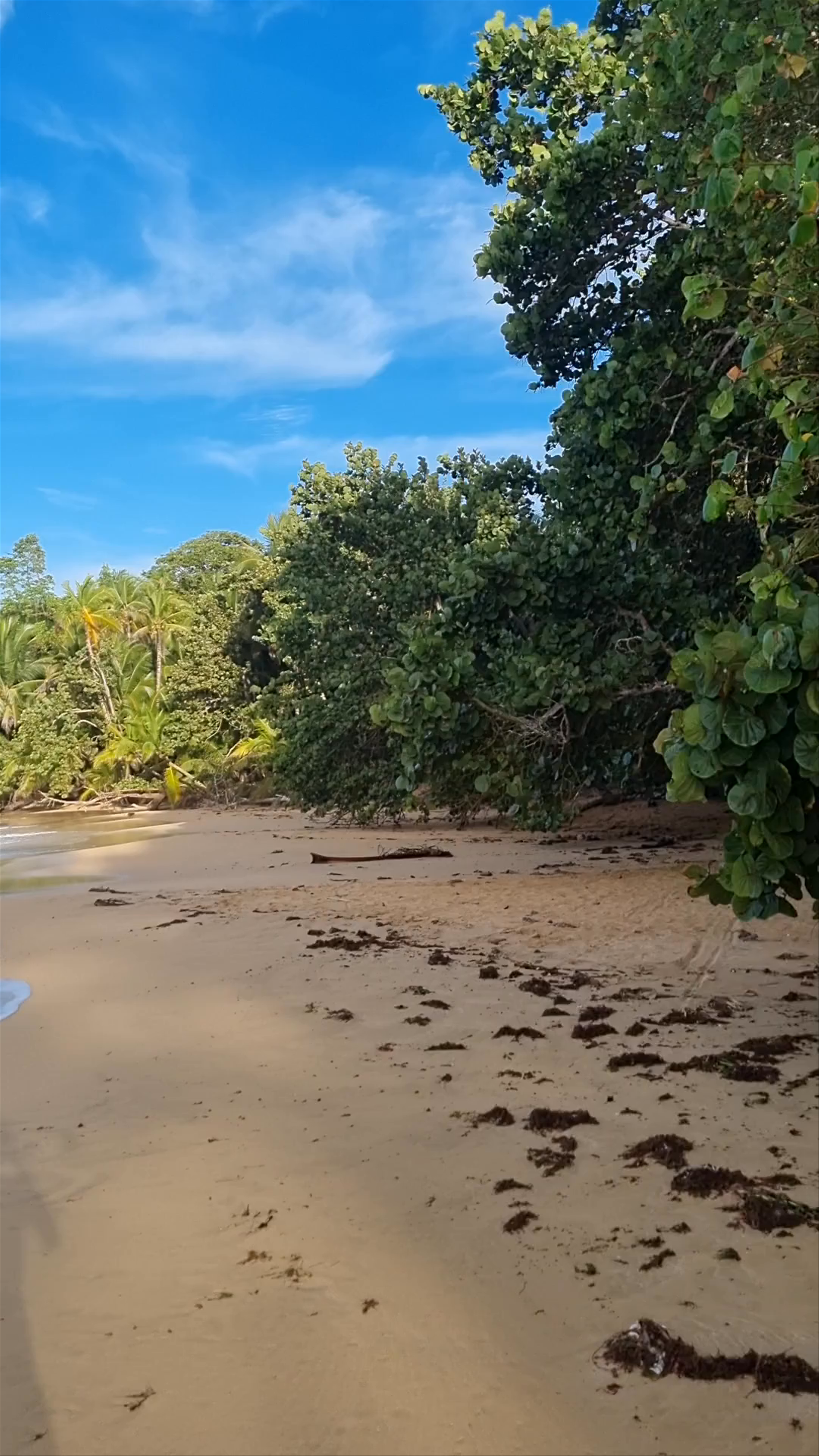 Playa Escondida: Secluded Beach Paradise in Bocas del Toro, Panama