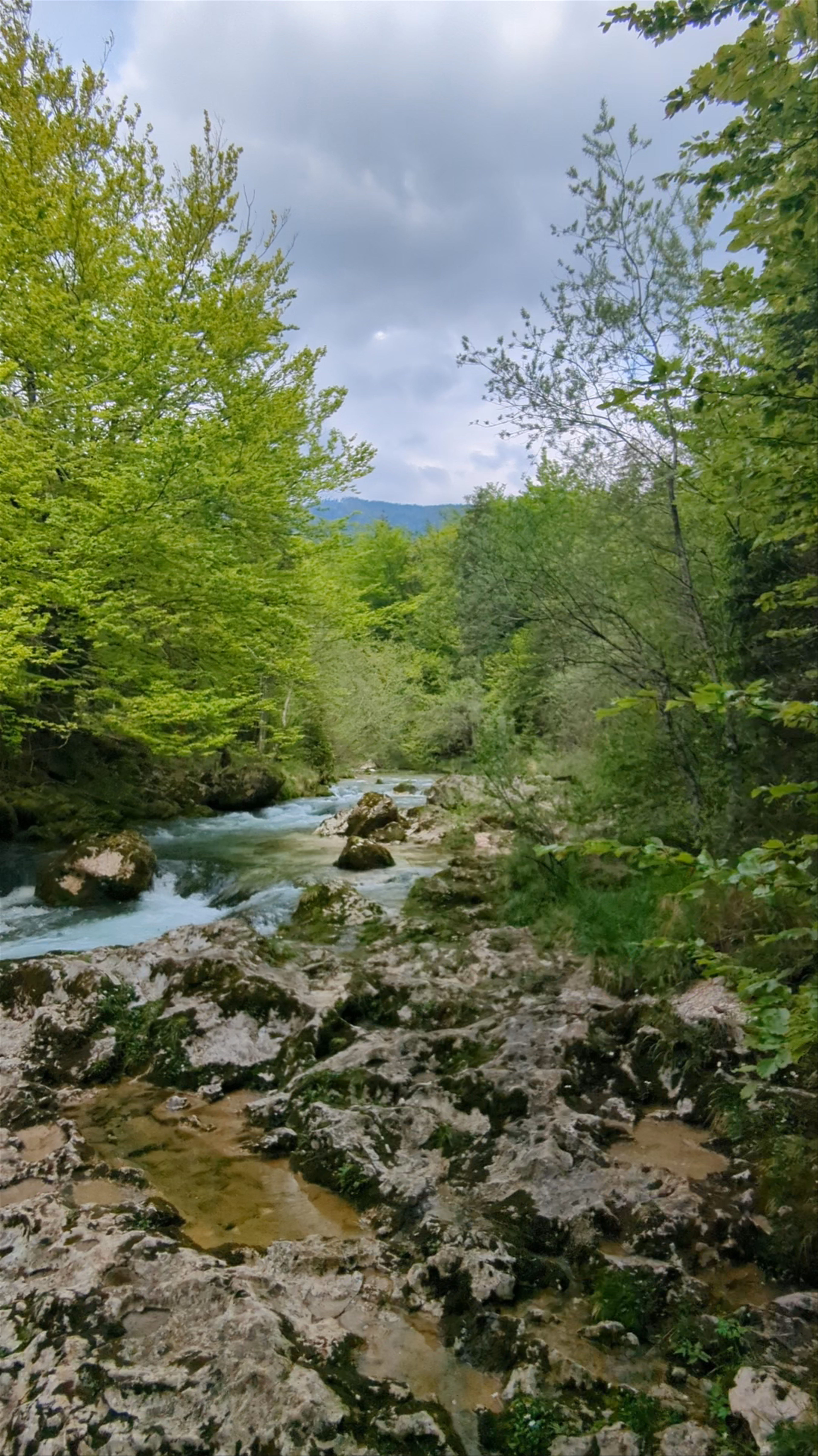 Mostnica Gorge