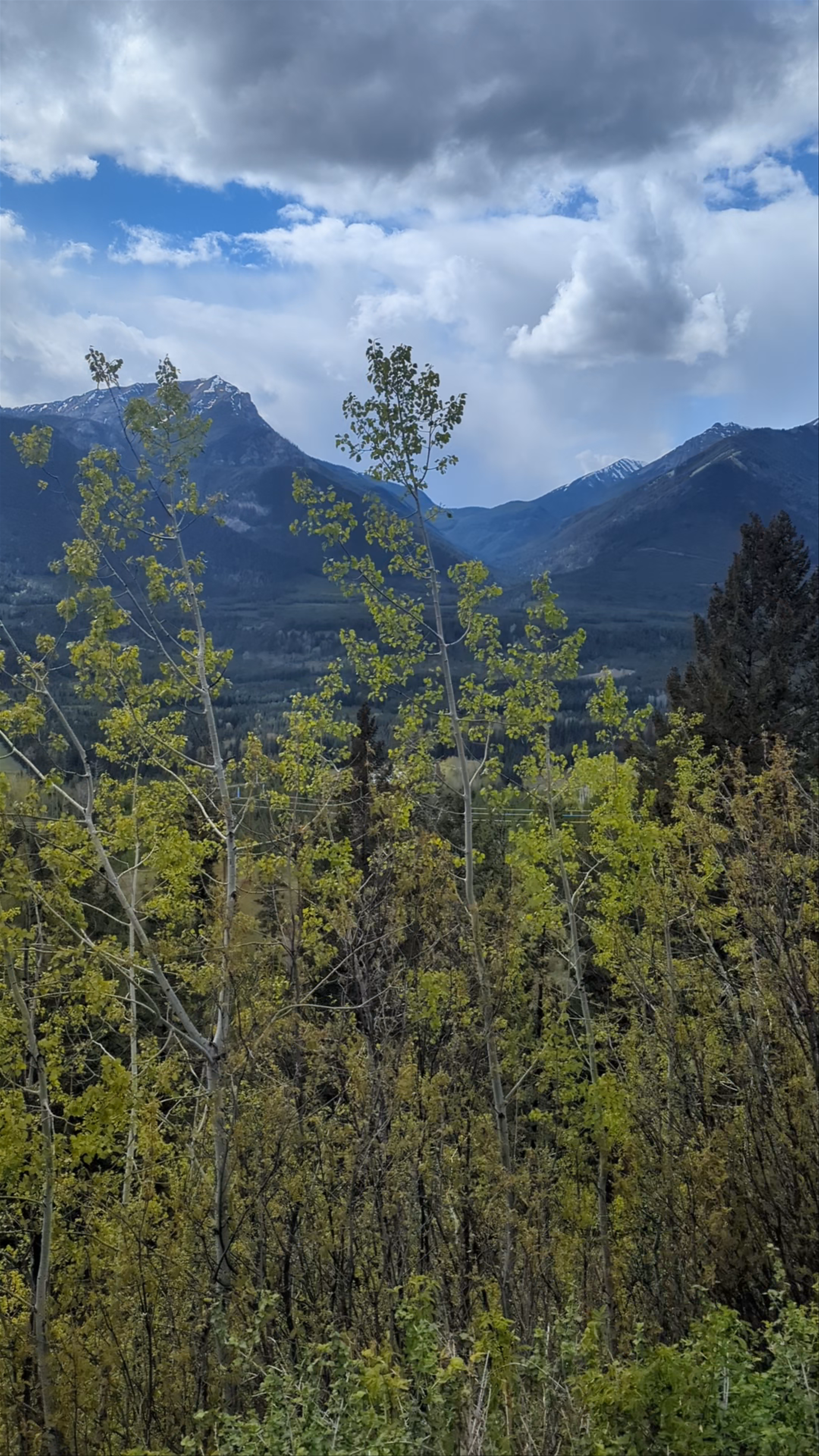 Elk Valley