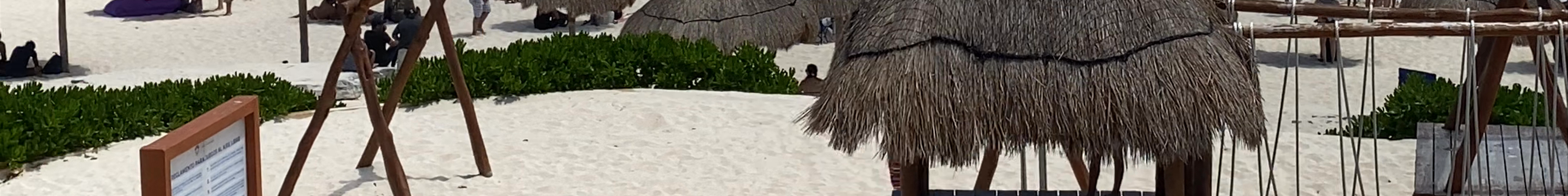 Tours & experiences in Cancún