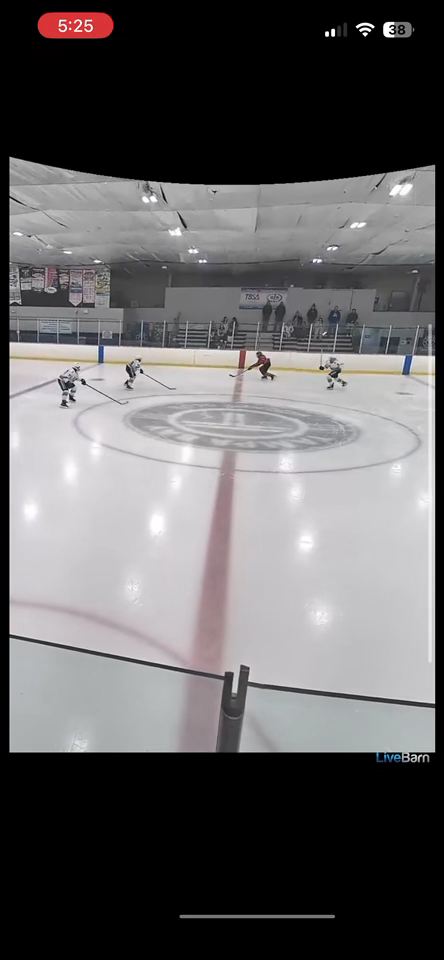 Lukas Lopes Samalekis: Elite Forechecking & Backchecking Highlights