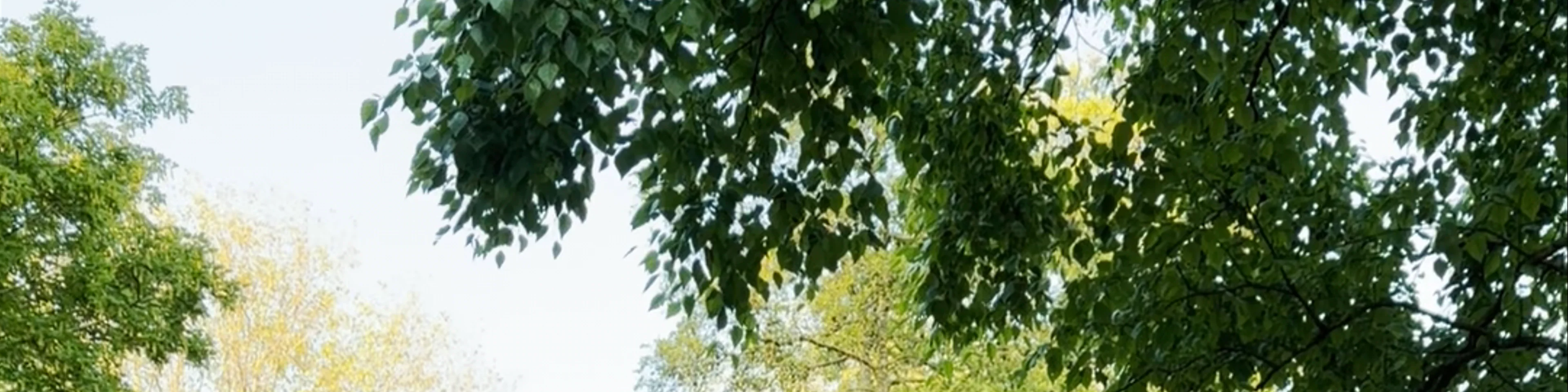 Rembrandtpark