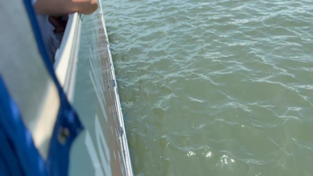 Florida Water Tours - Boat Tours Near Me - St. Augustine, Florida