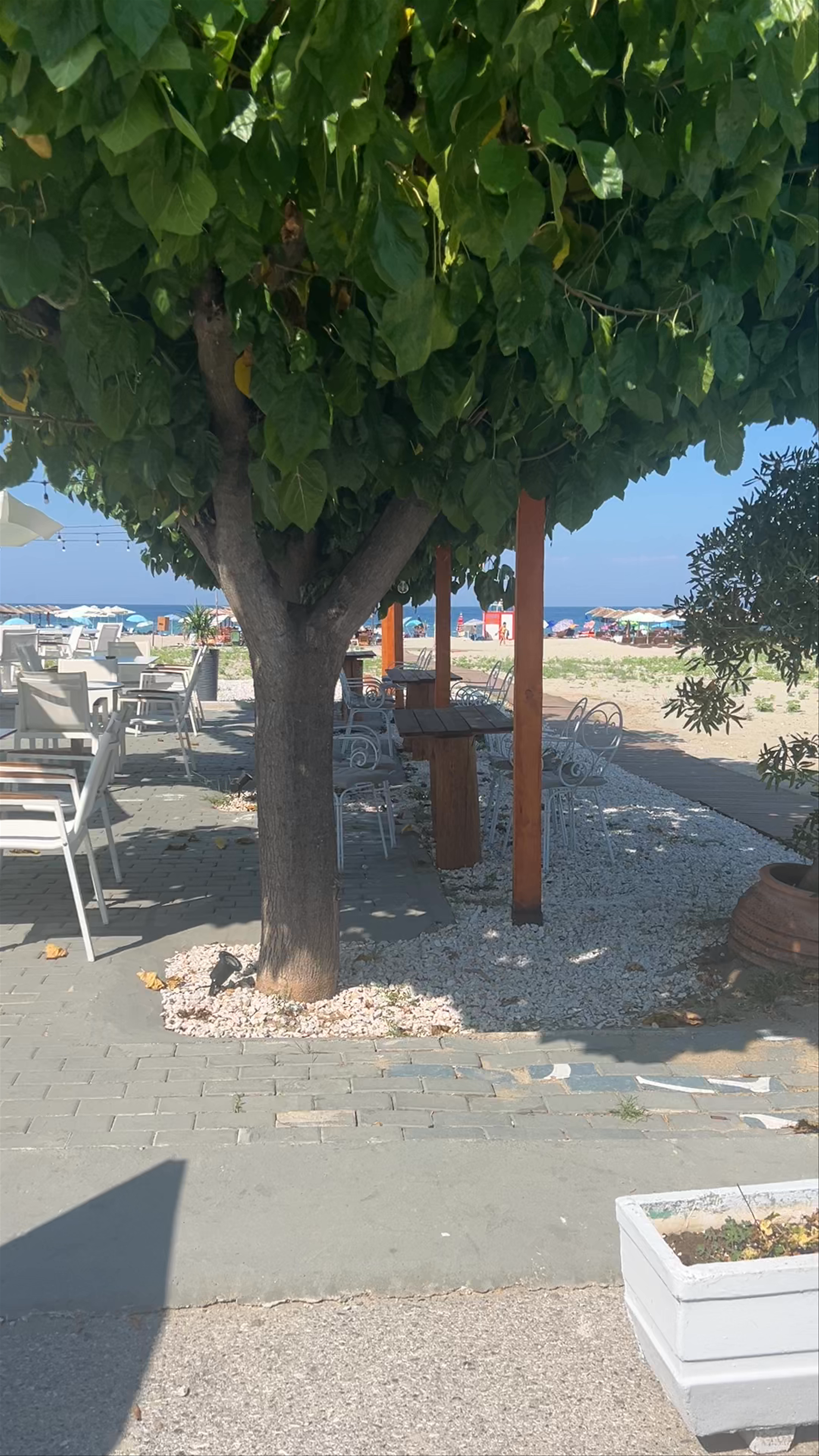 VERGINA PIZZA & FRESH PASTA - Beachside Dining in Nei Pori, Greece
