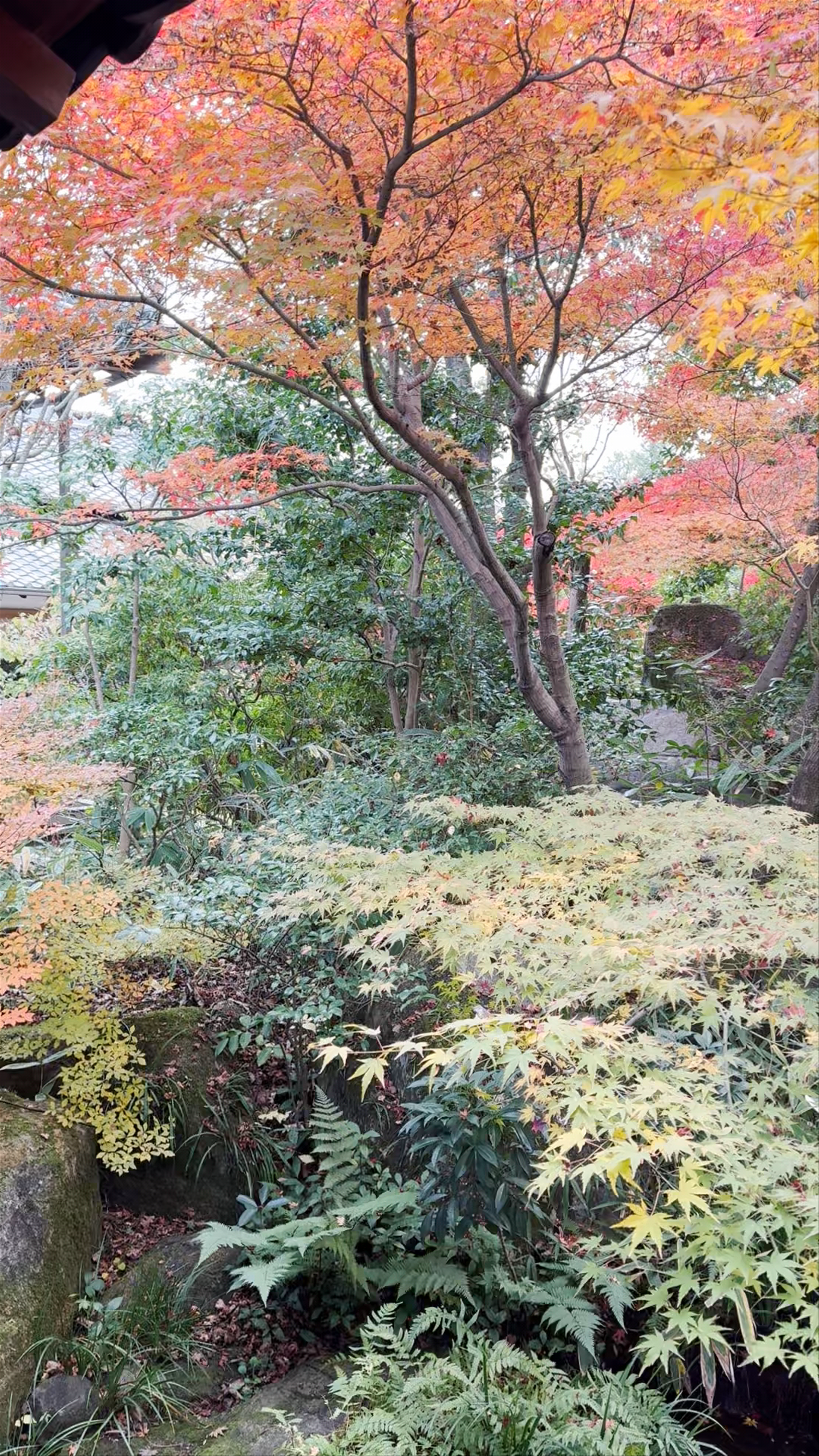 Himeji Park