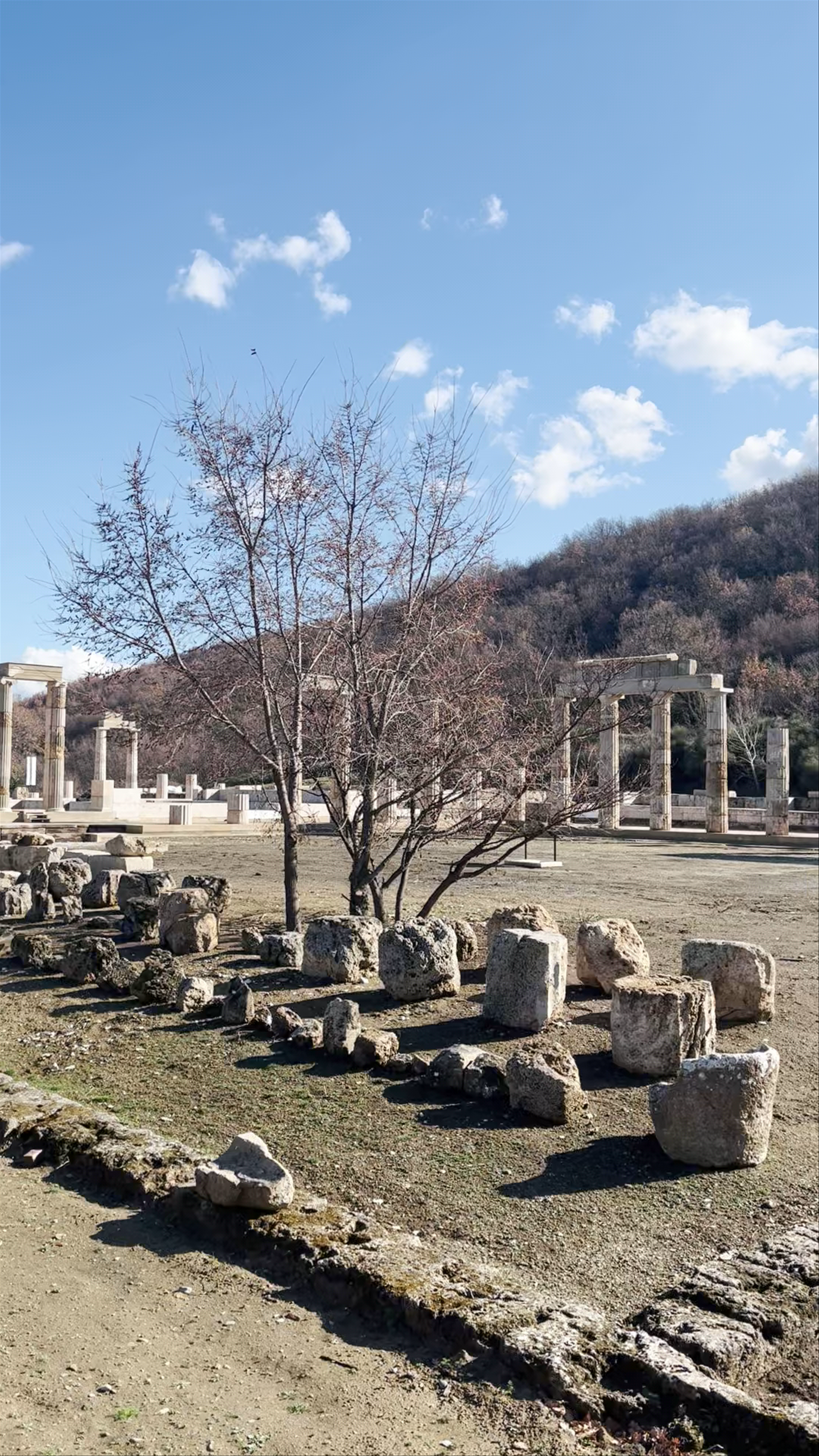 Palace of Aigai (Aegae)