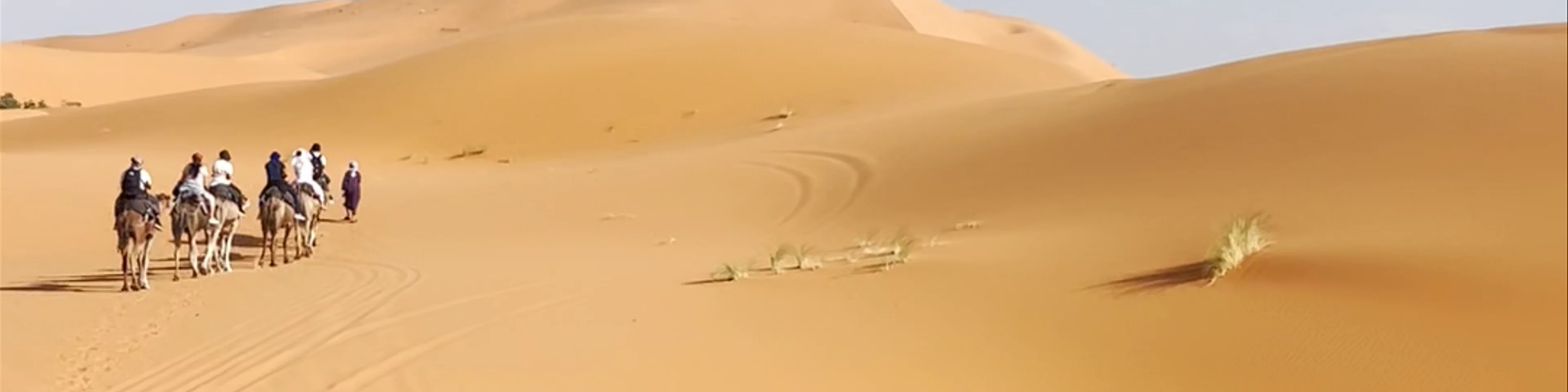 Desierto tours