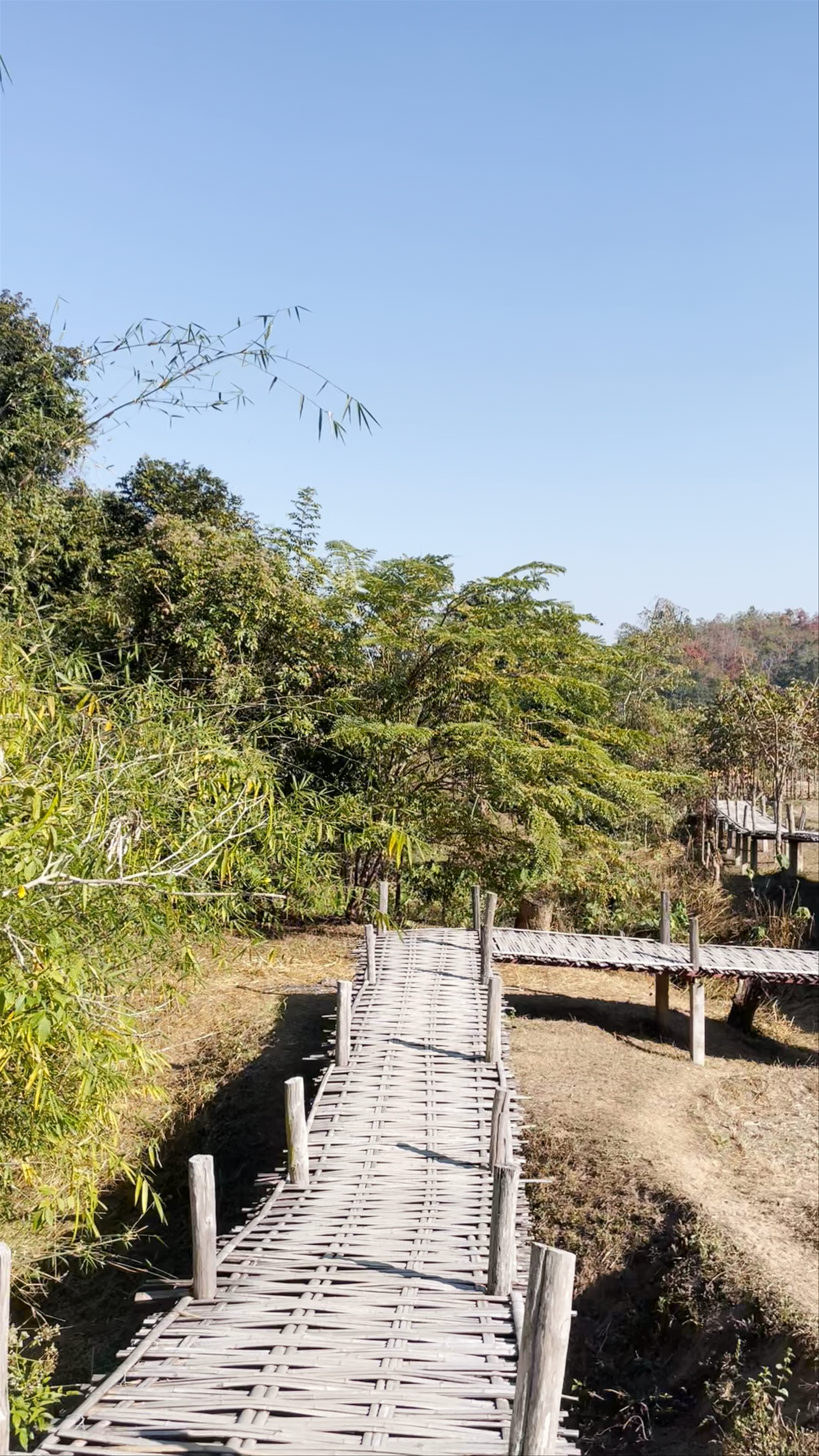 Bamboo Bridge Pai